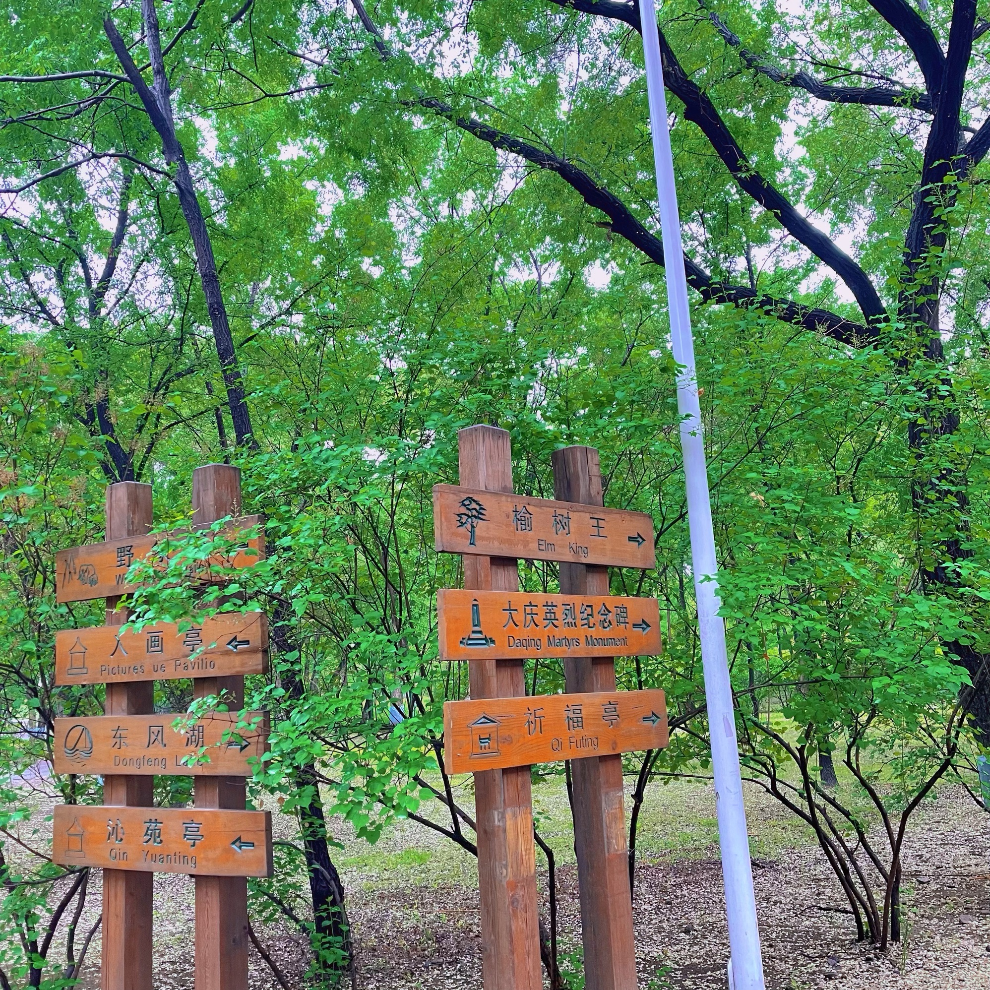 城市森林公园旅行图片 3