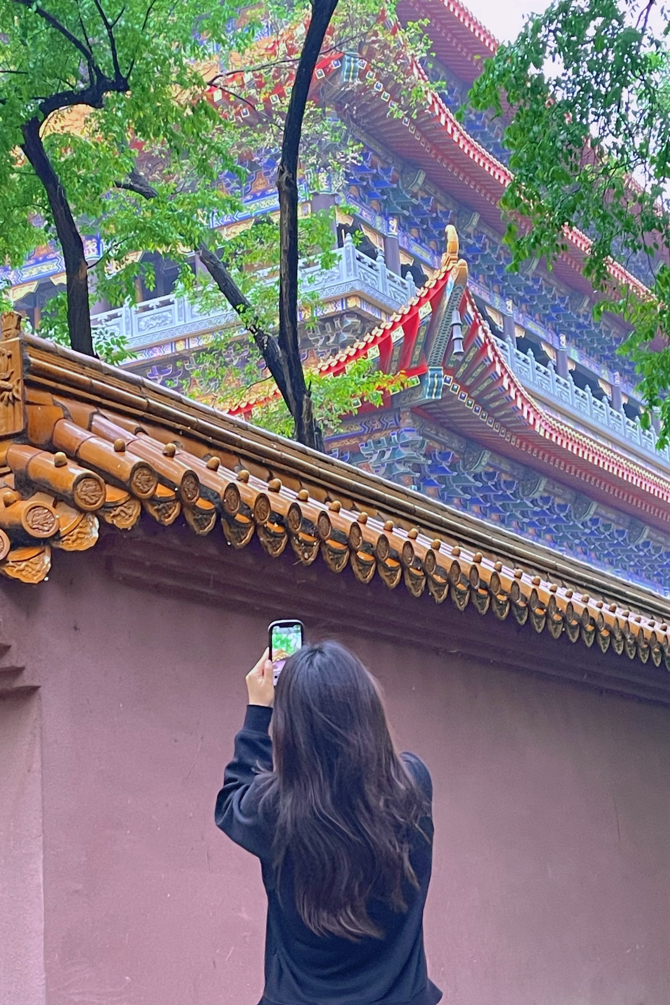 城市森林公园旅行图片 1