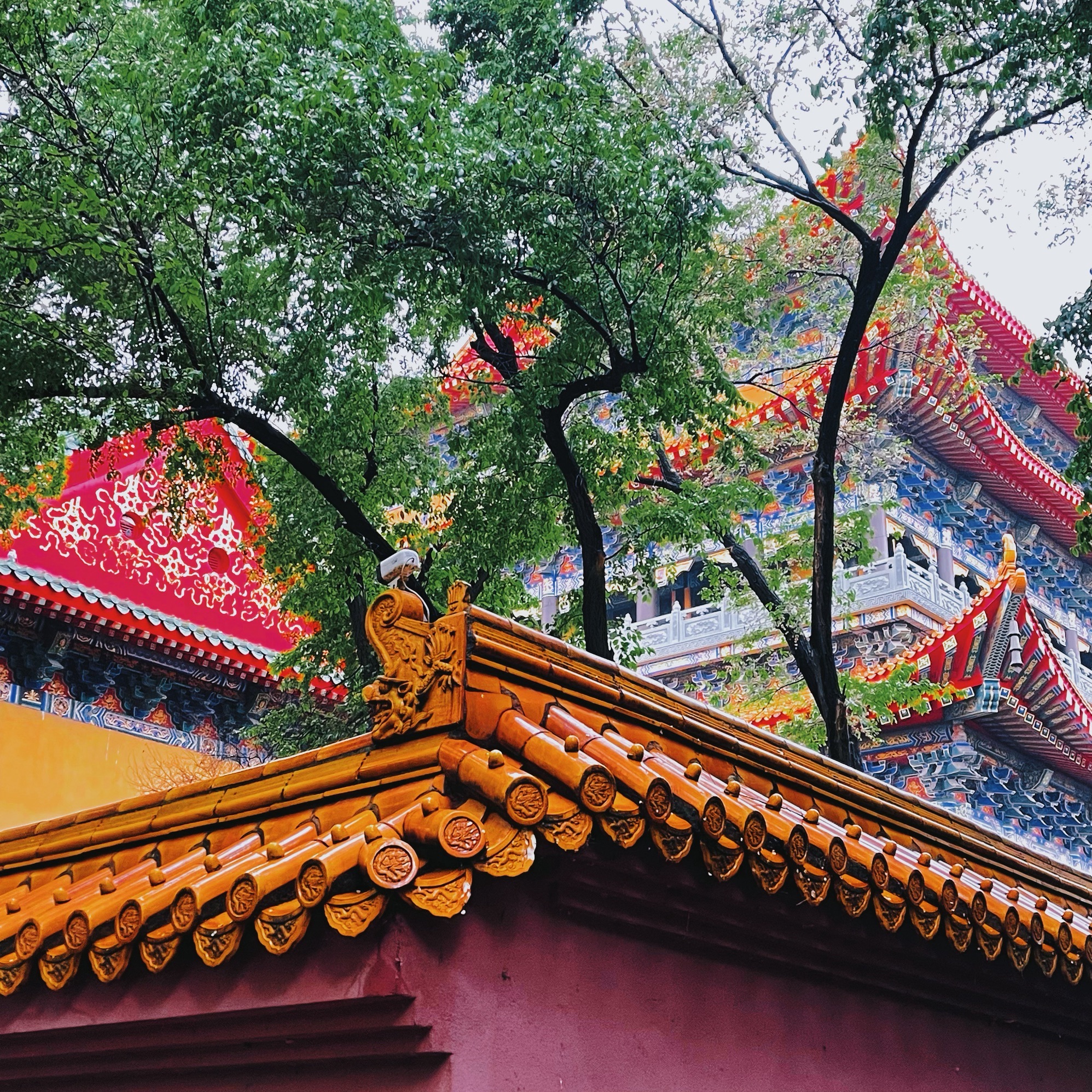 城市森林公园旅行图片 2