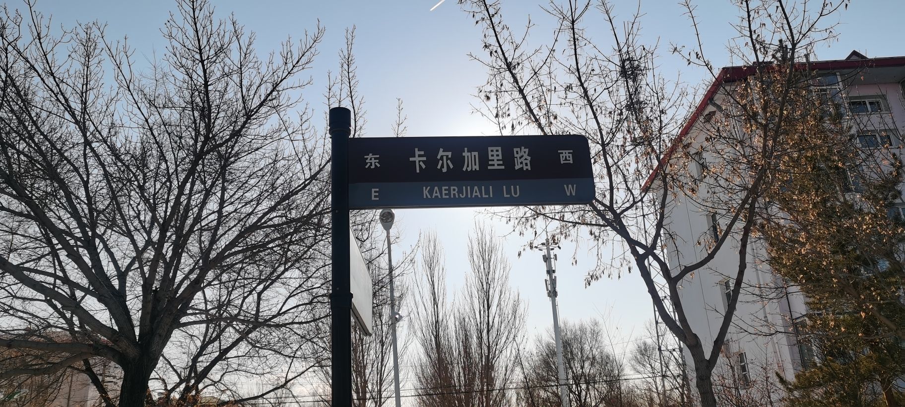 城市森林公园旅行图片 3