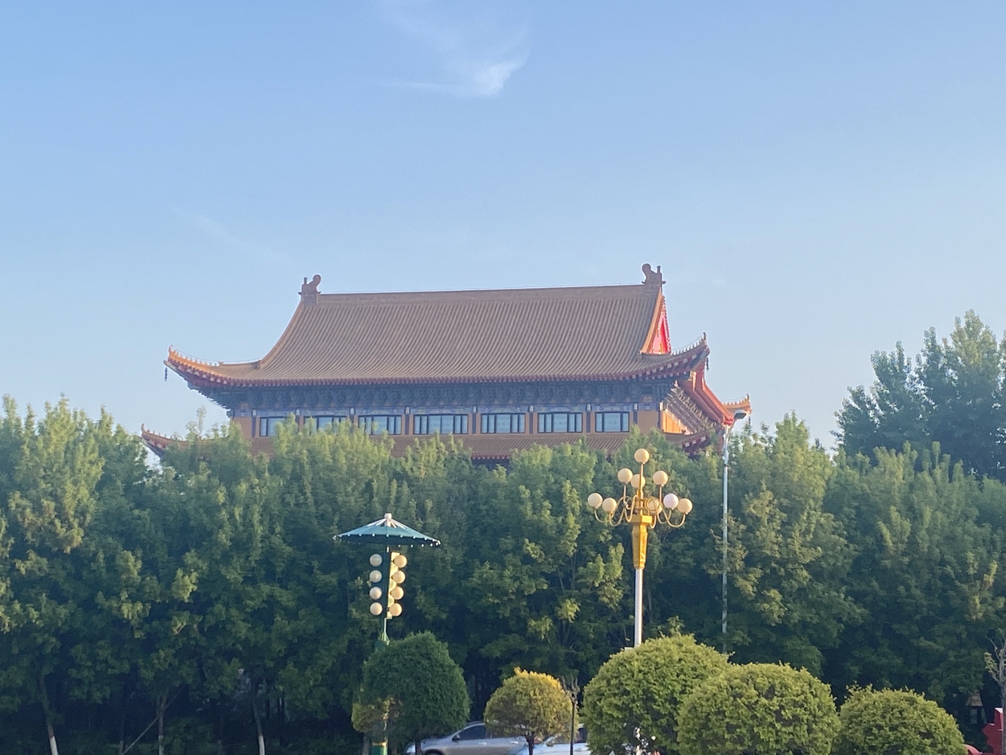 城市森林公园旅行图片 3