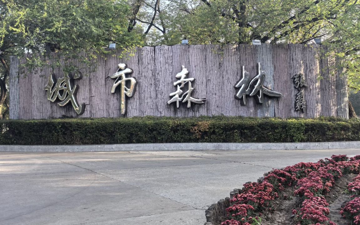 城市森林公园