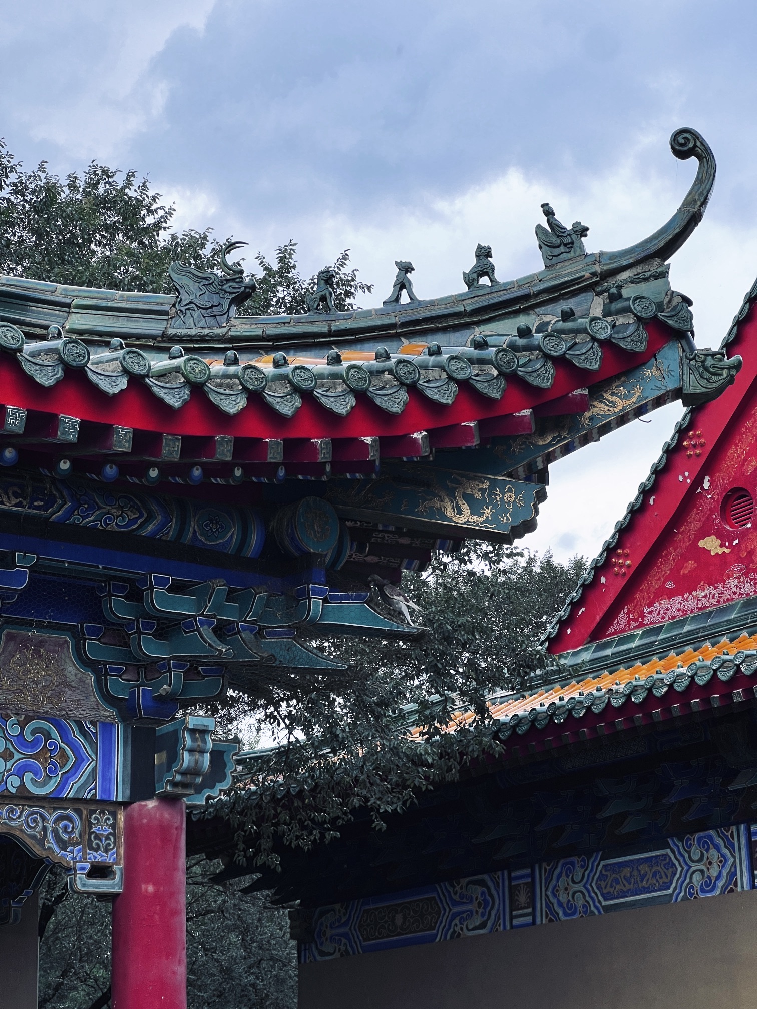 城市森林公园旅行图片 3