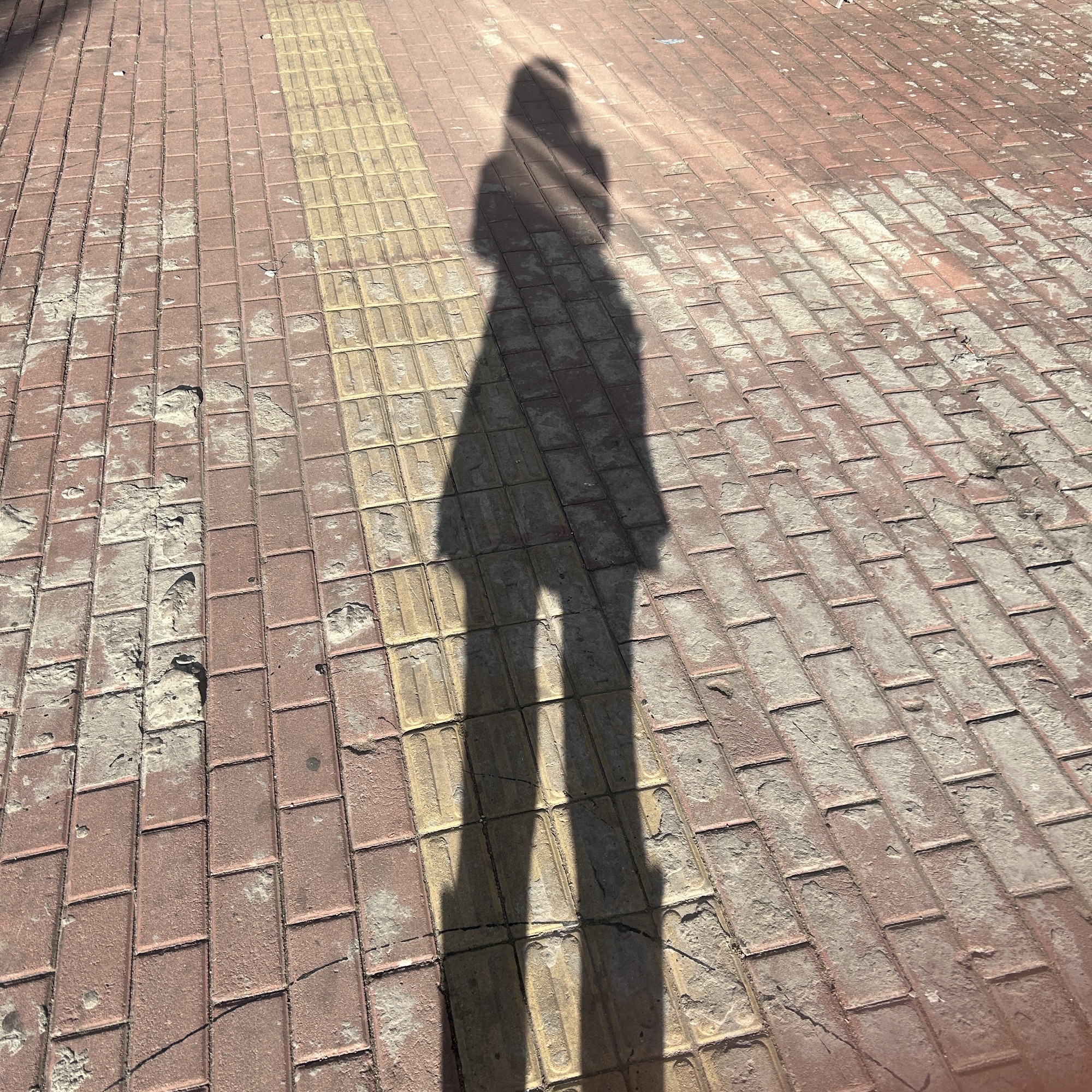 萨南公园旅行图片 3