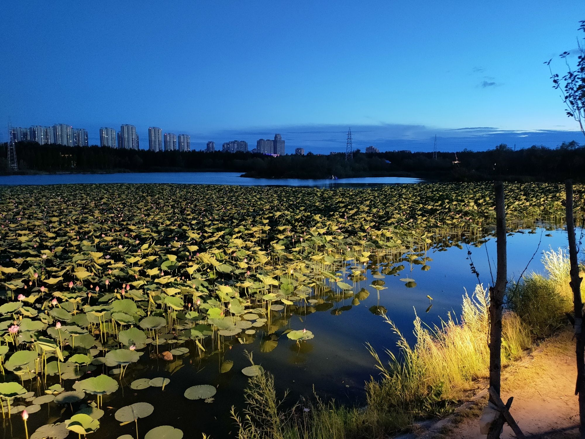 油田广场旅行图片 1