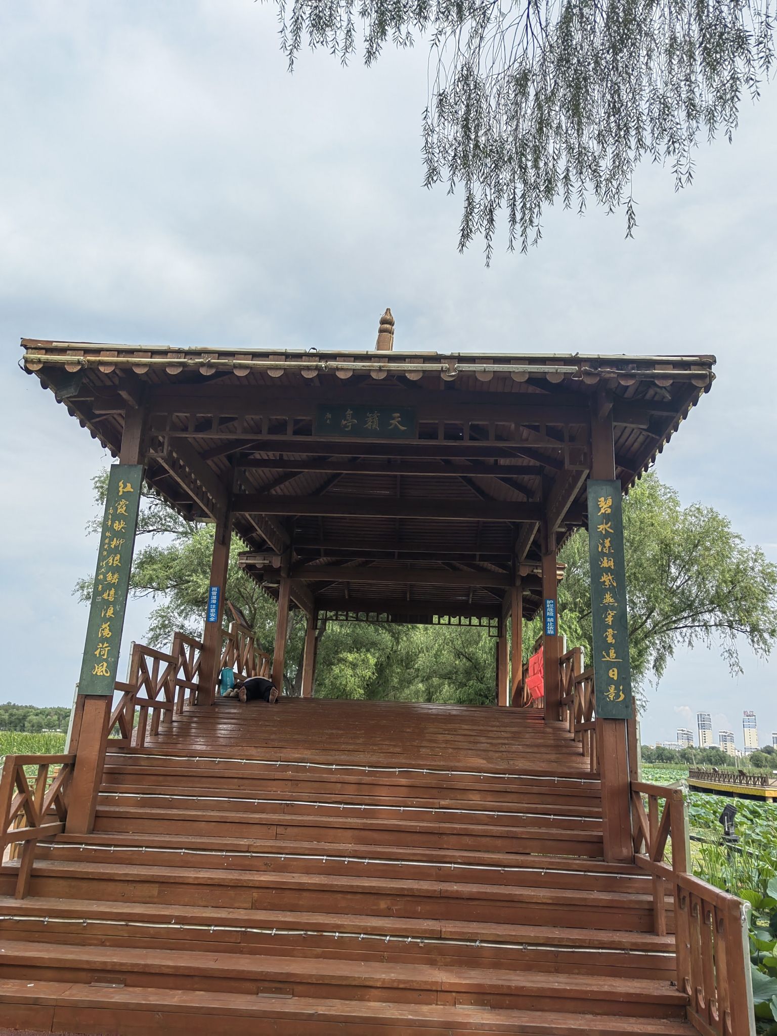 西海湿地公园旅行图片 3