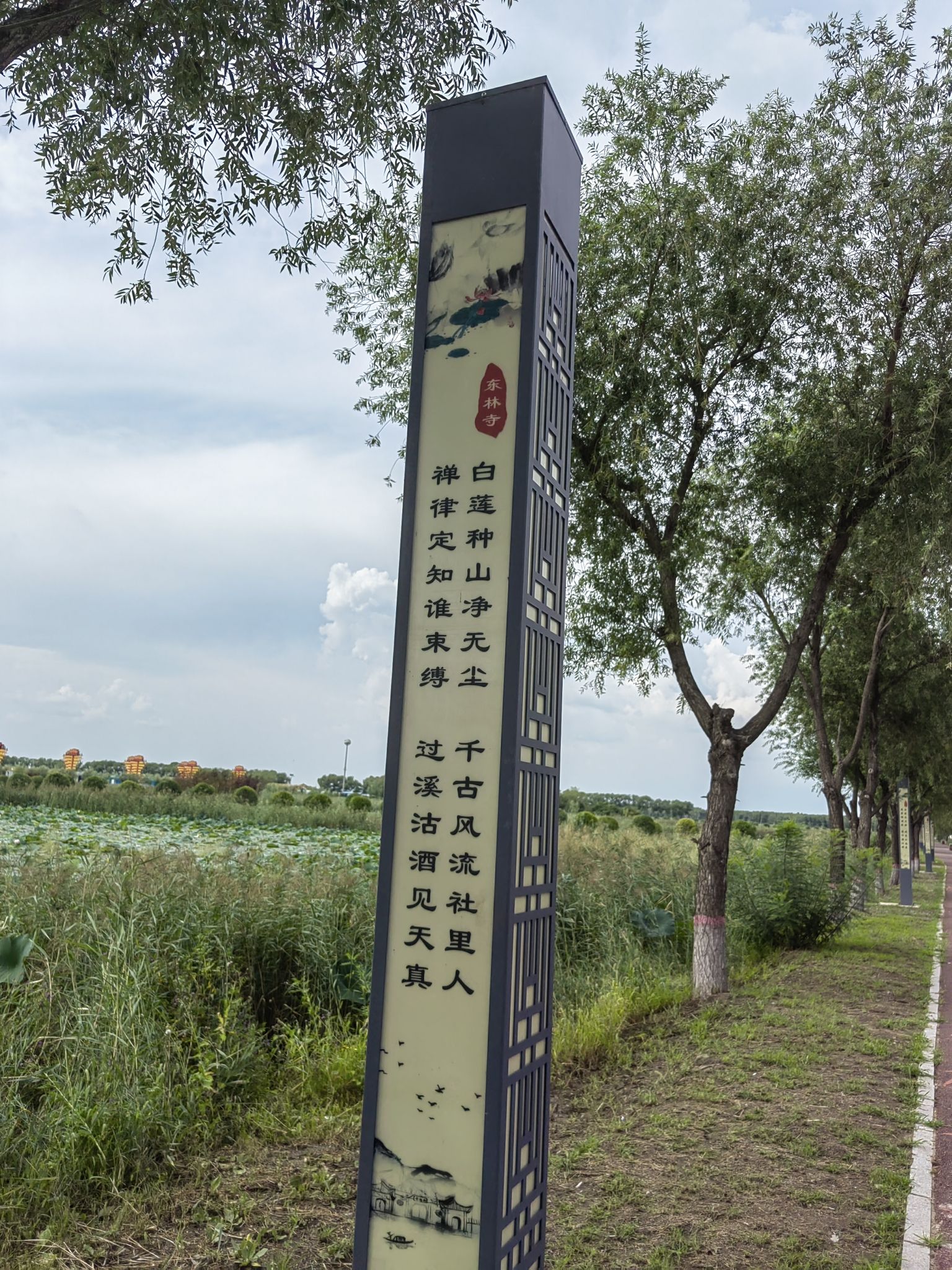 西海湿地公园旅行图片 2