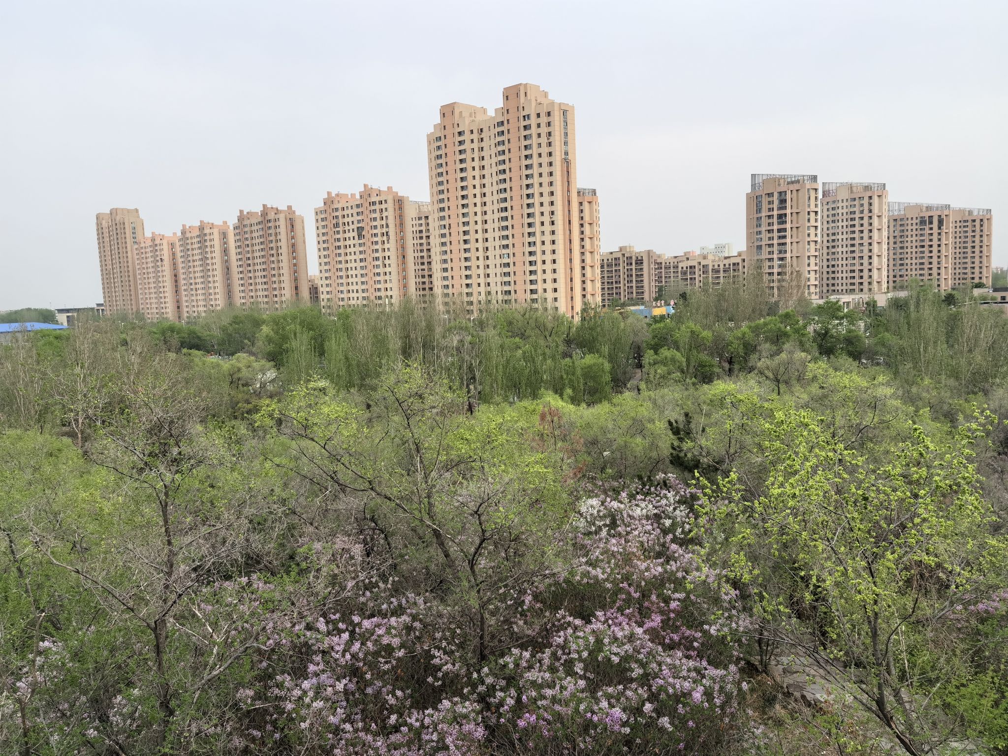 景园公园旅行图片 2