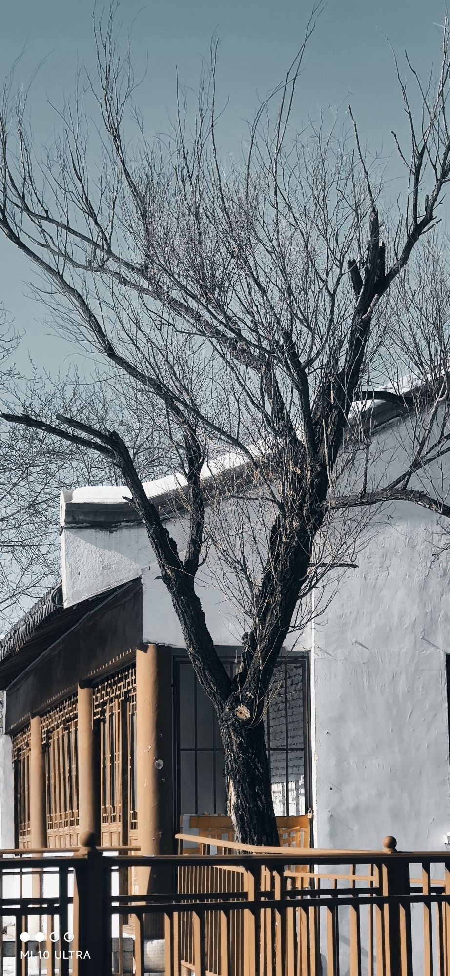 景园公园旅行图片 1