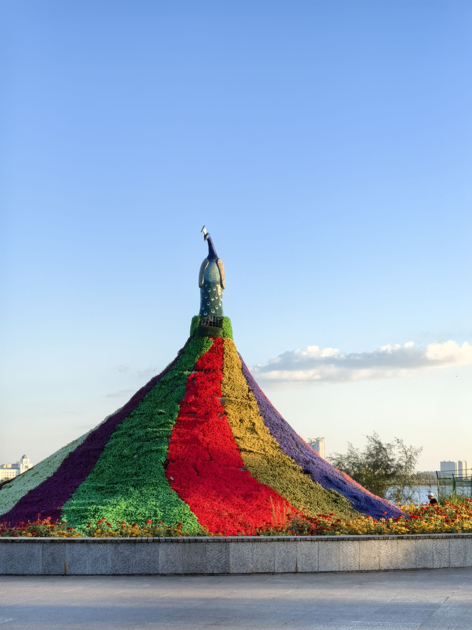 滨湖广场旅行图片