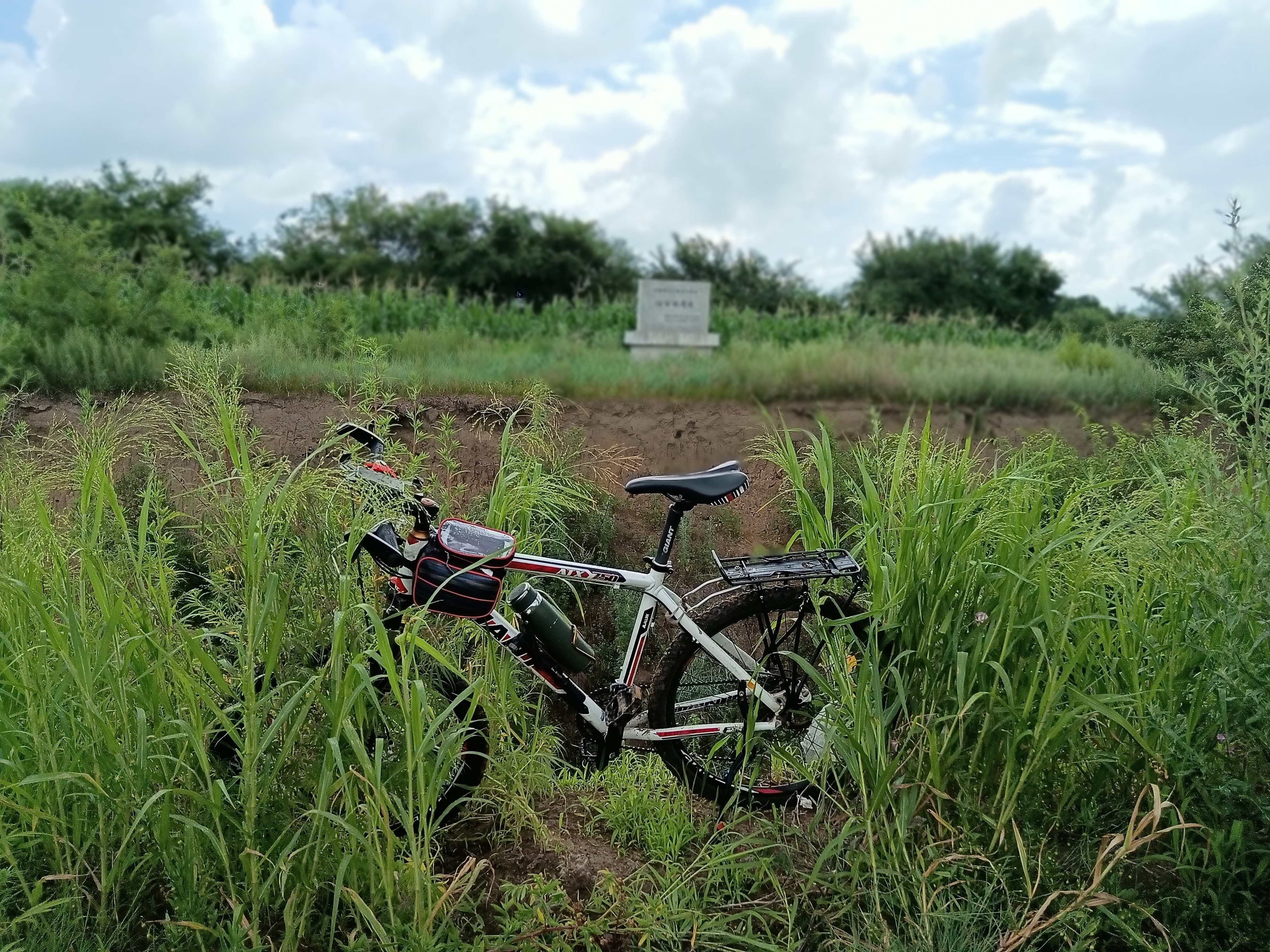 白金宝遗址旅行图片 1