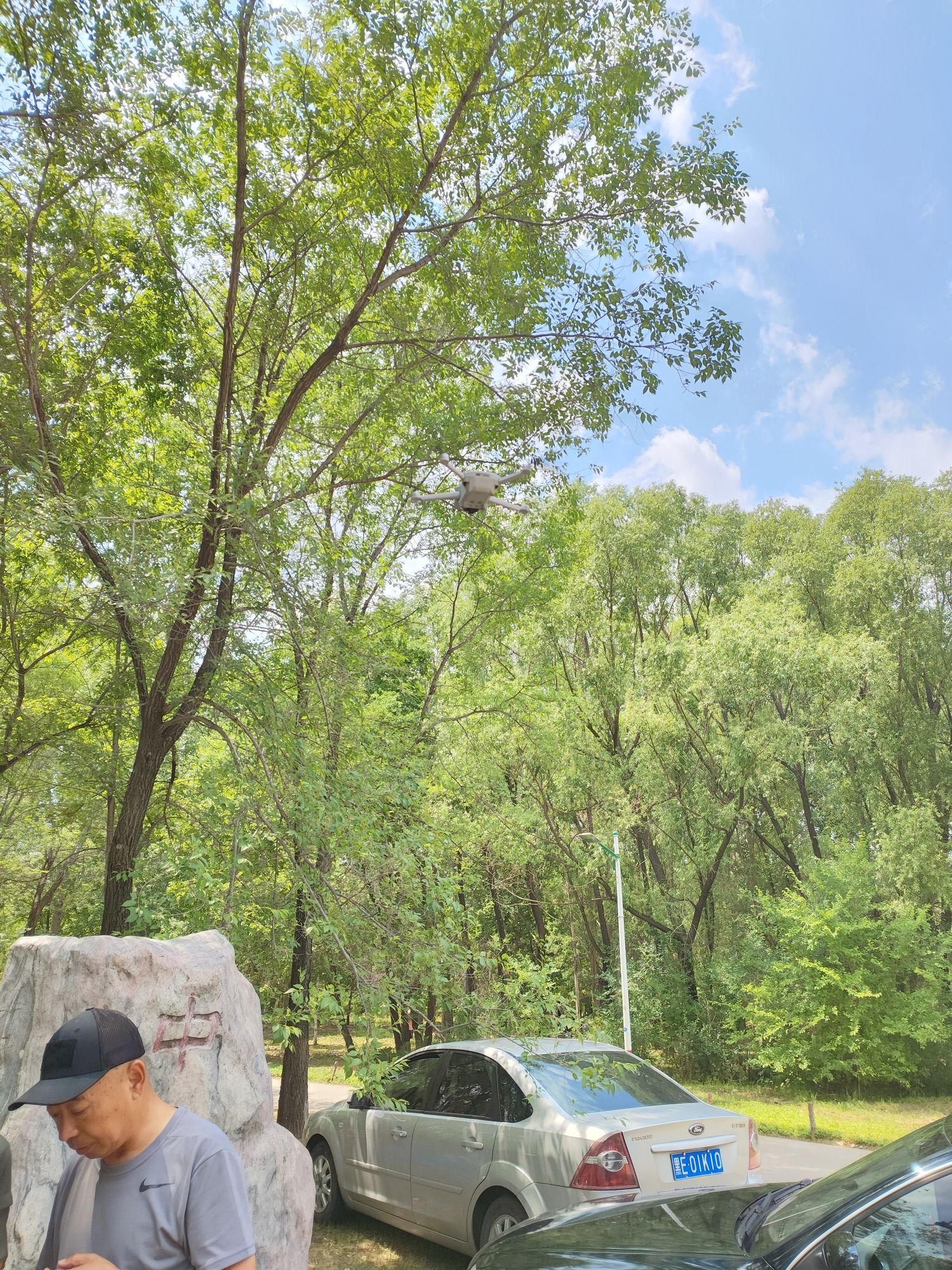 中山林旅行图片 1