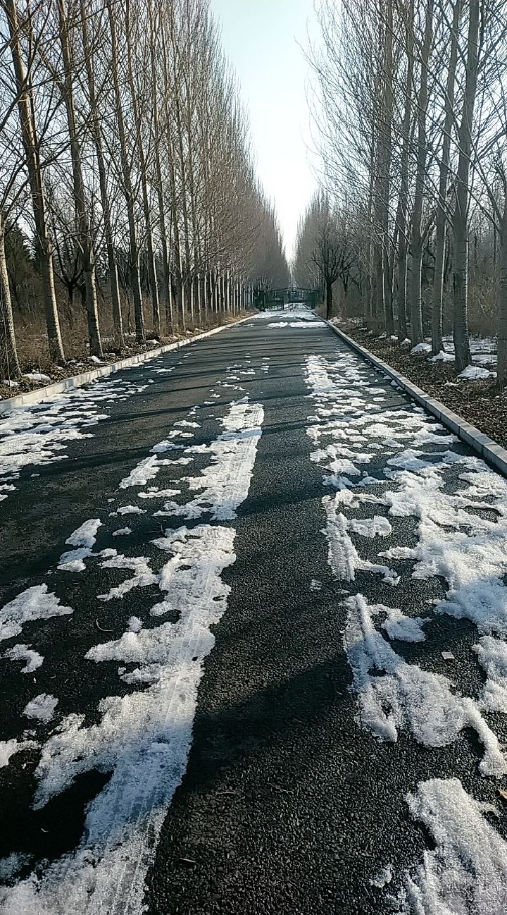 世界石油文化公园旅行图片 1