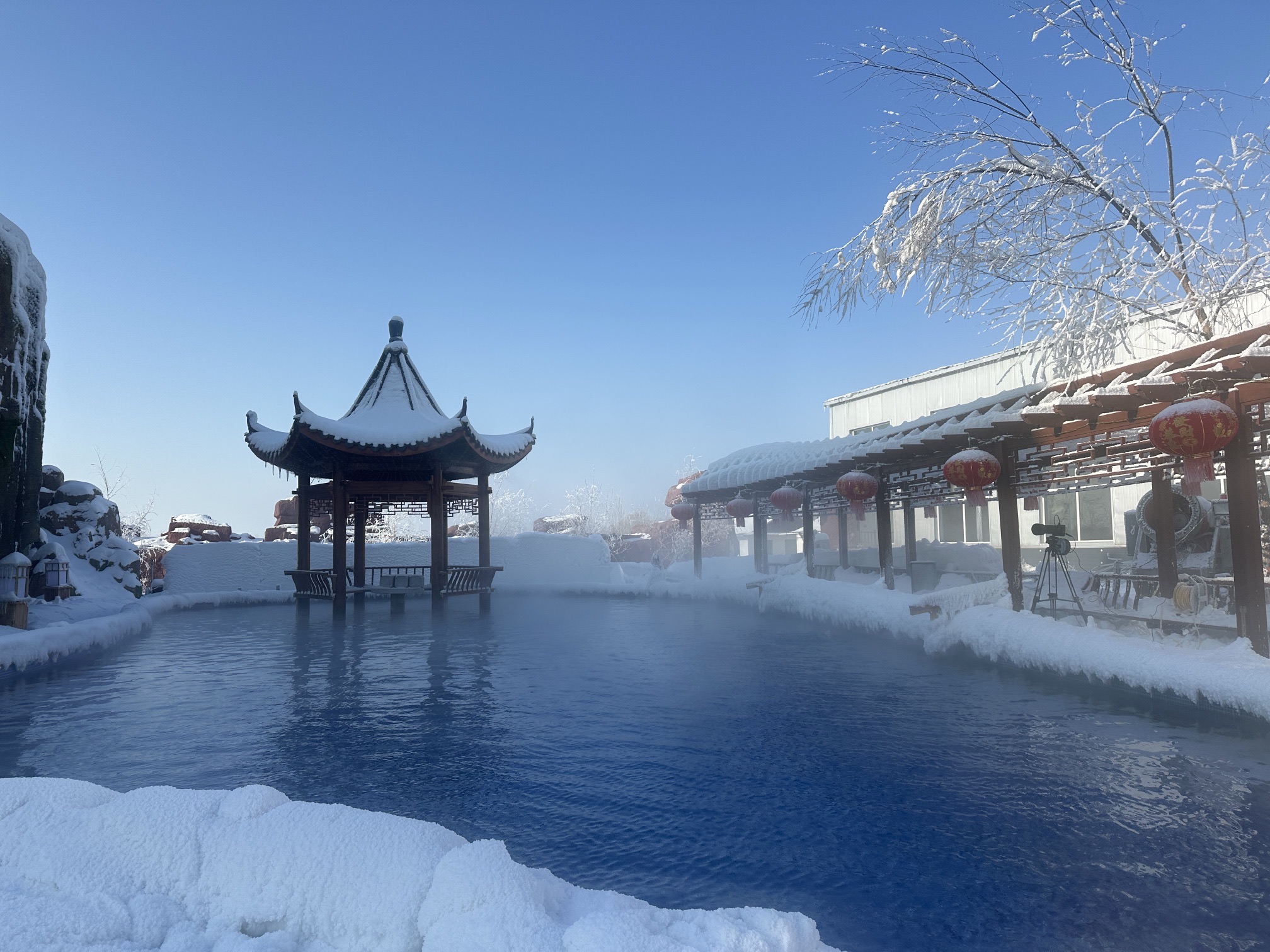鹤鸣湖湿地温泉度假区旅行图片 3