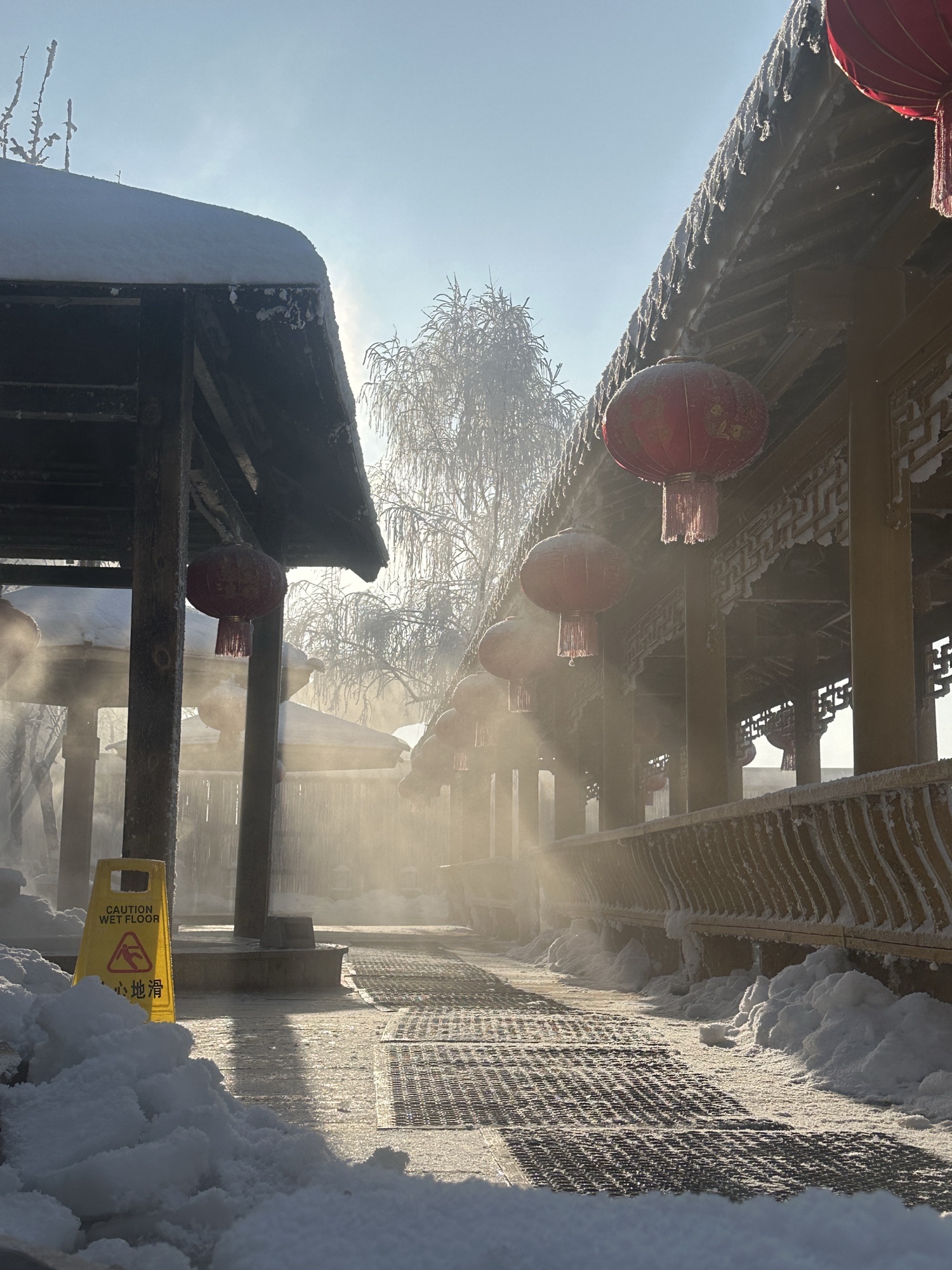 鹤鸣湖湿地温泉度假区旅行图片 2