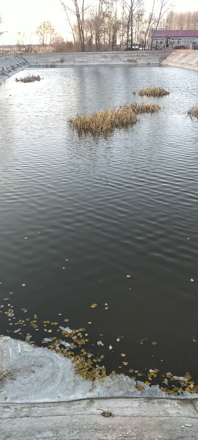 应龙山森林公园