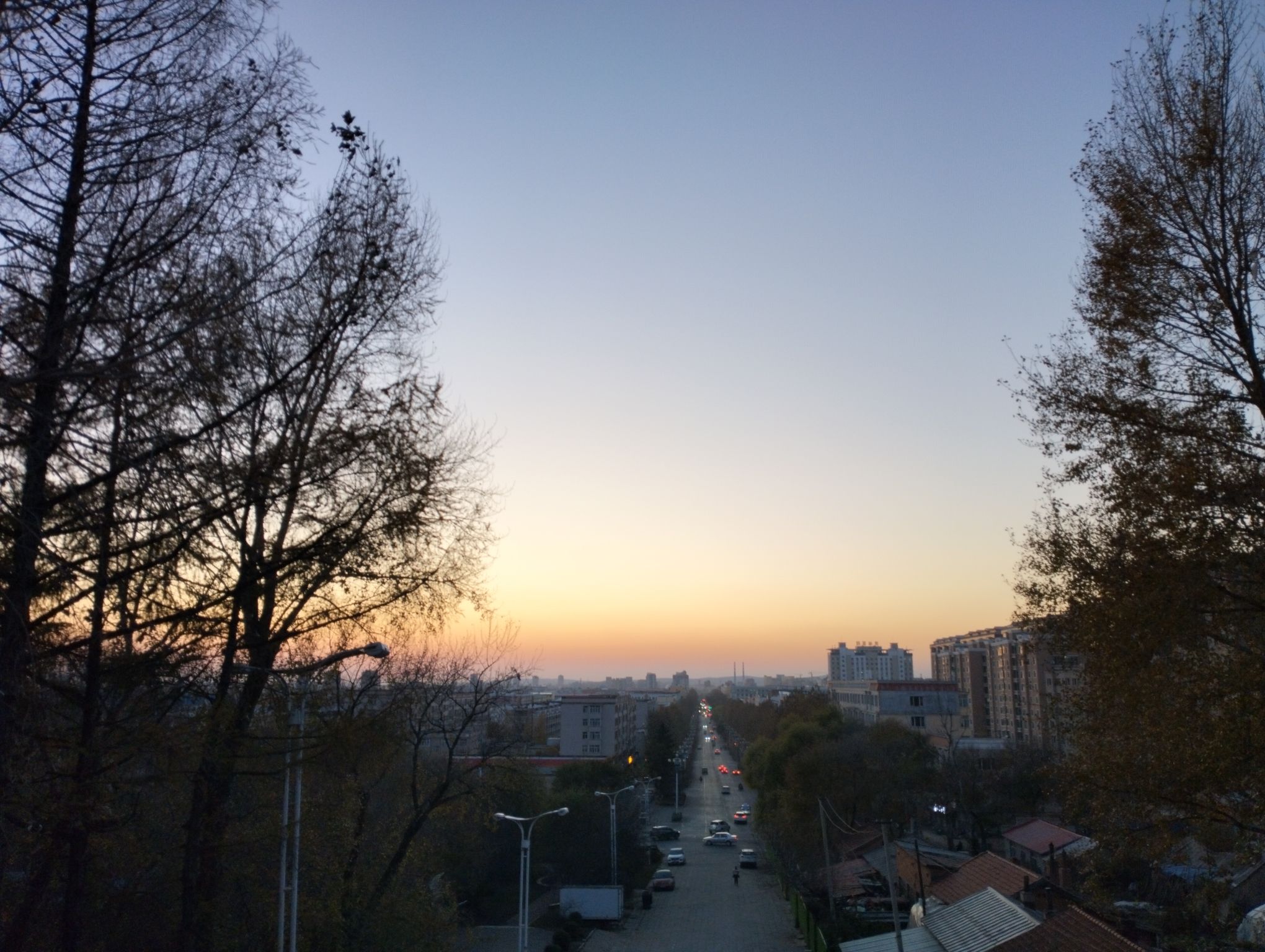 东山公园旅行图片 1