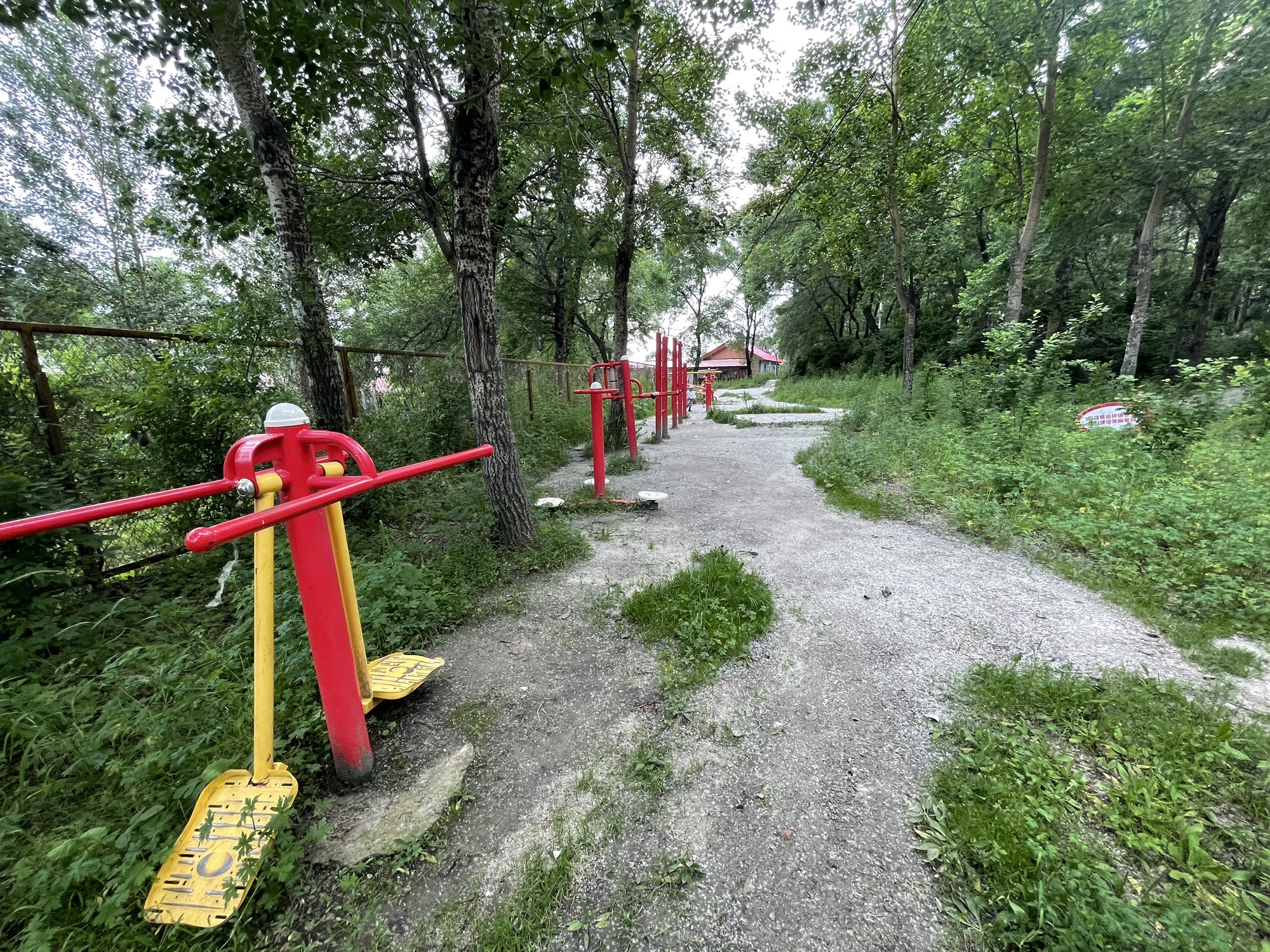 东山公园旅行图片 2