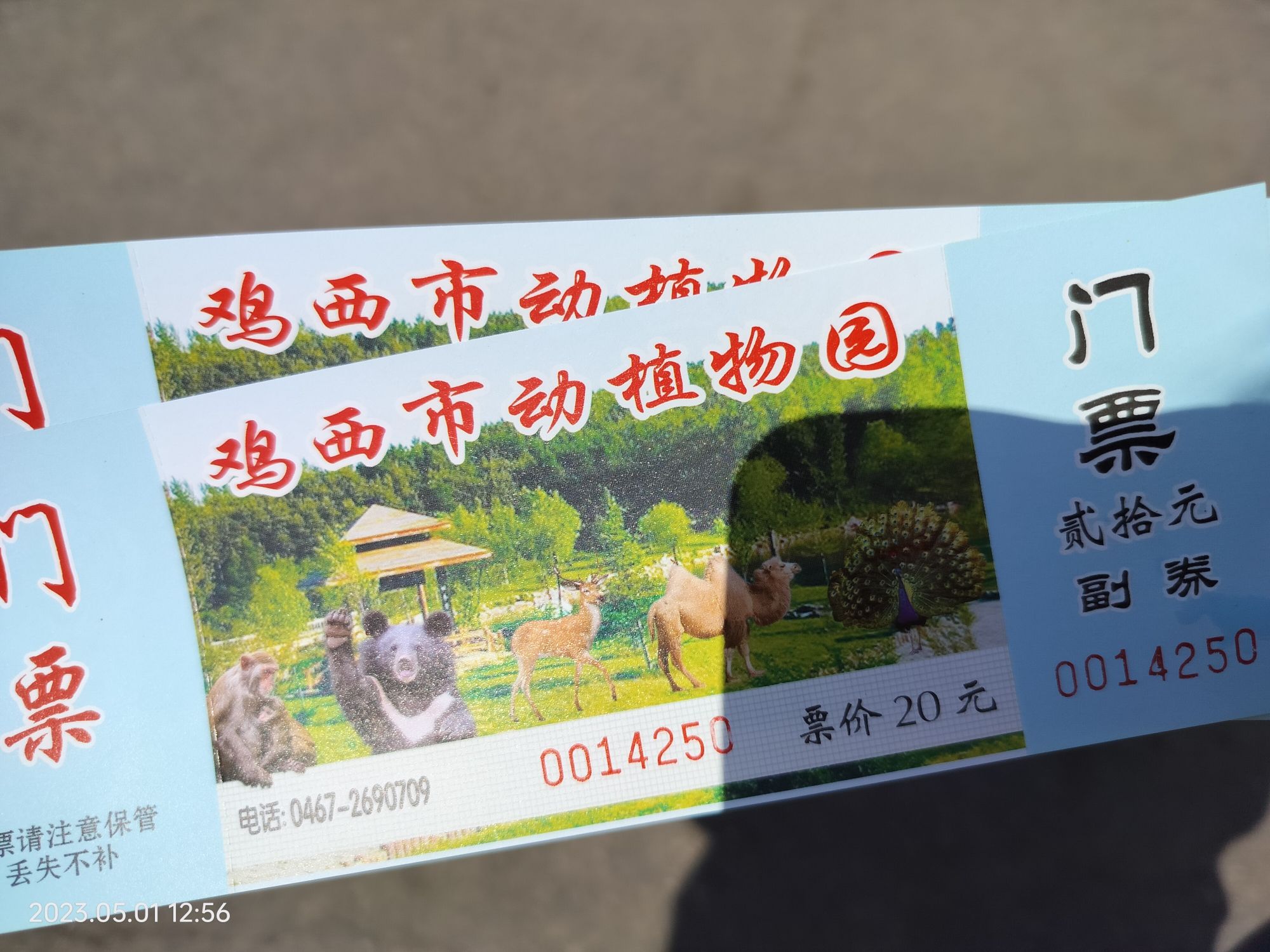 鸡西动植物园旅行图片 2