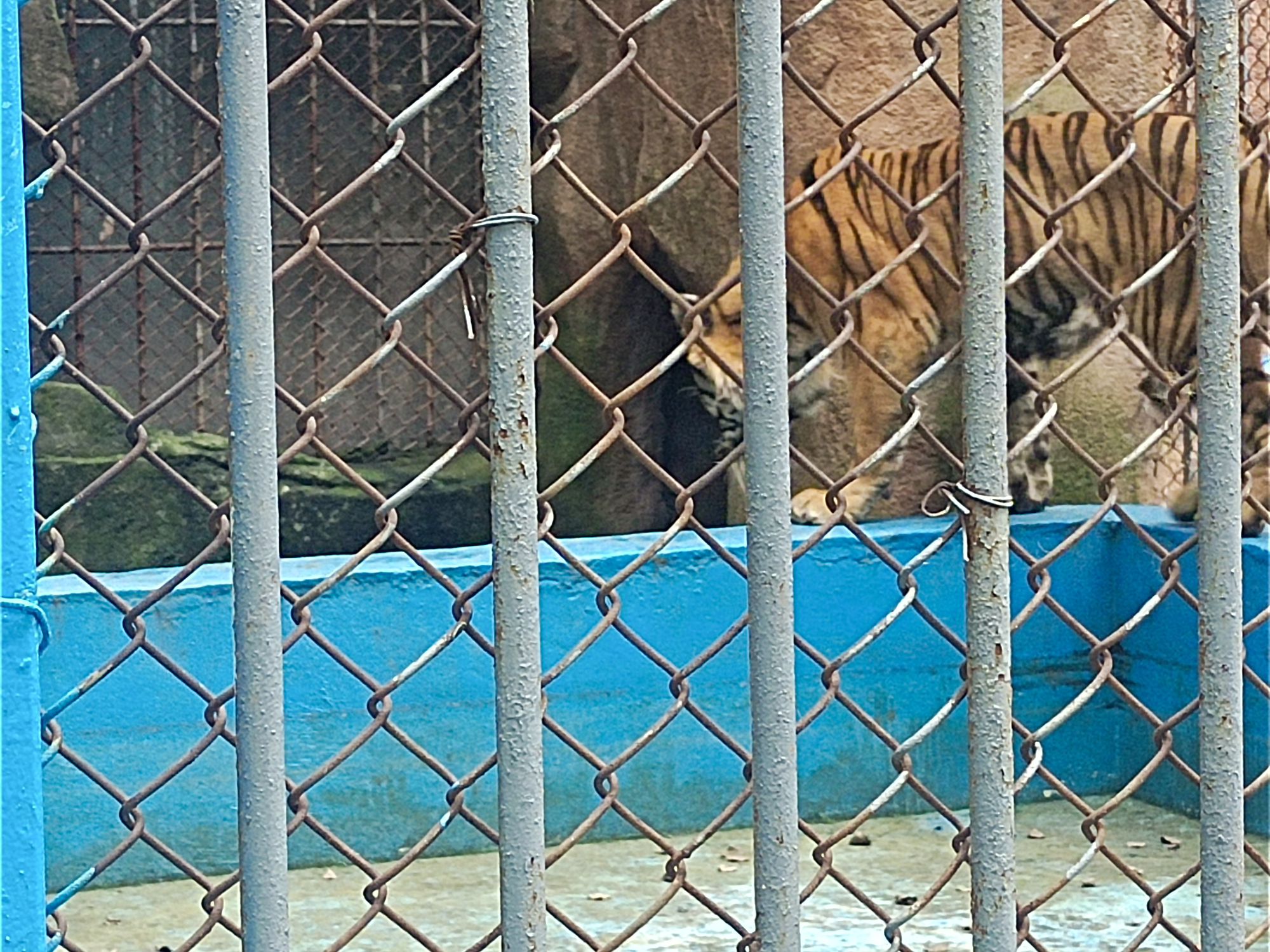 鸡西动植物园旅行图片 3