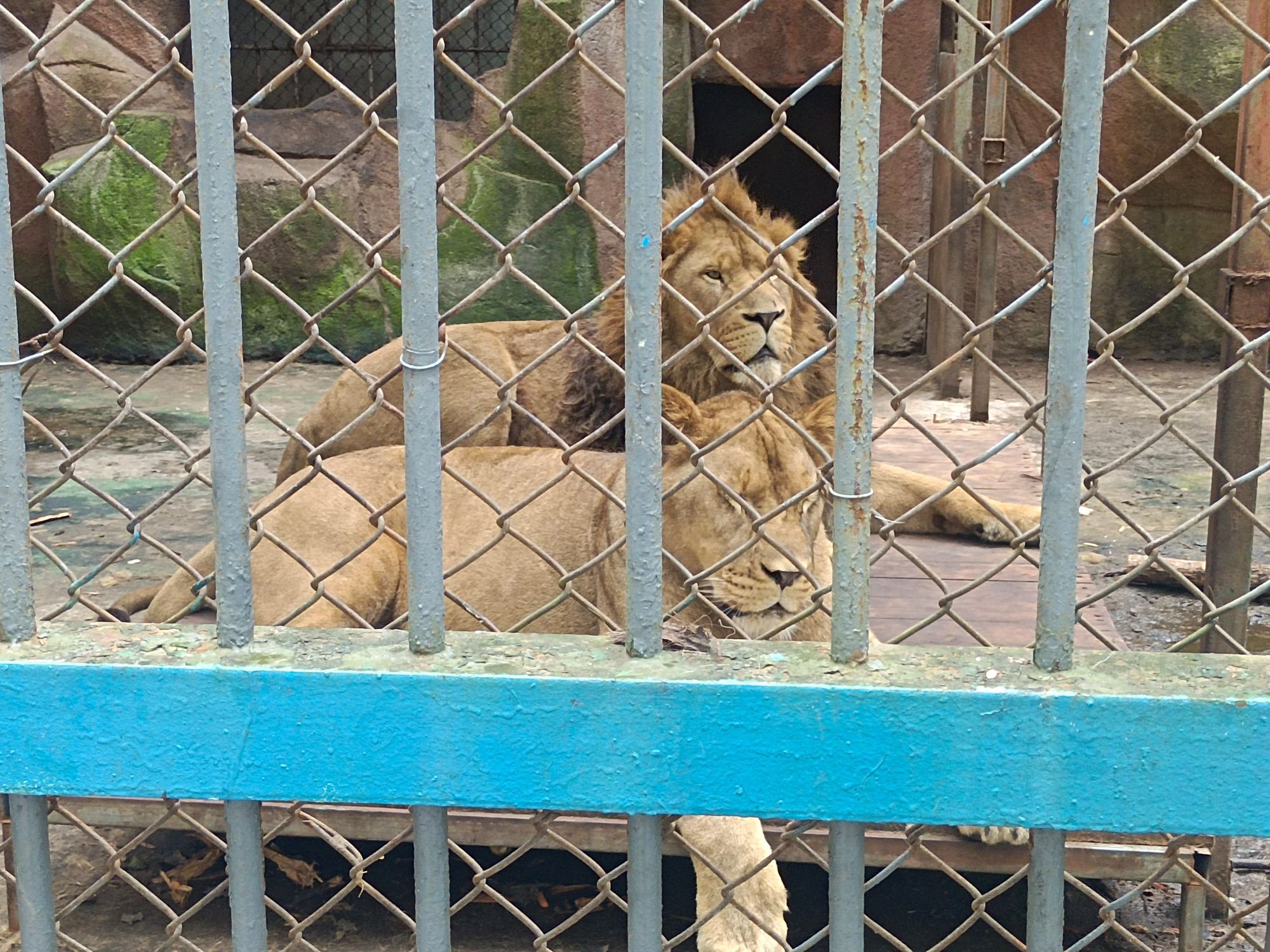 鸡西动植物园旅行图片 1