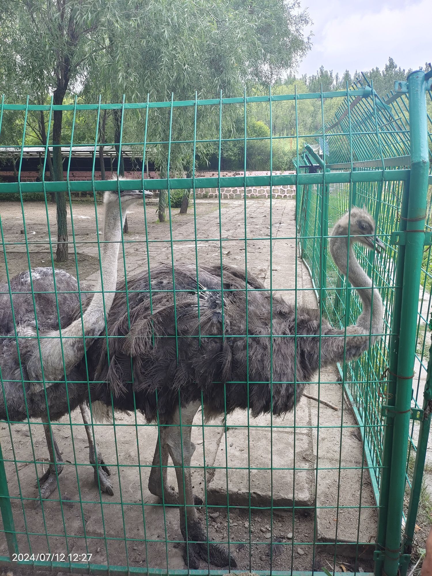 鸡西动植物园旅行图片 2