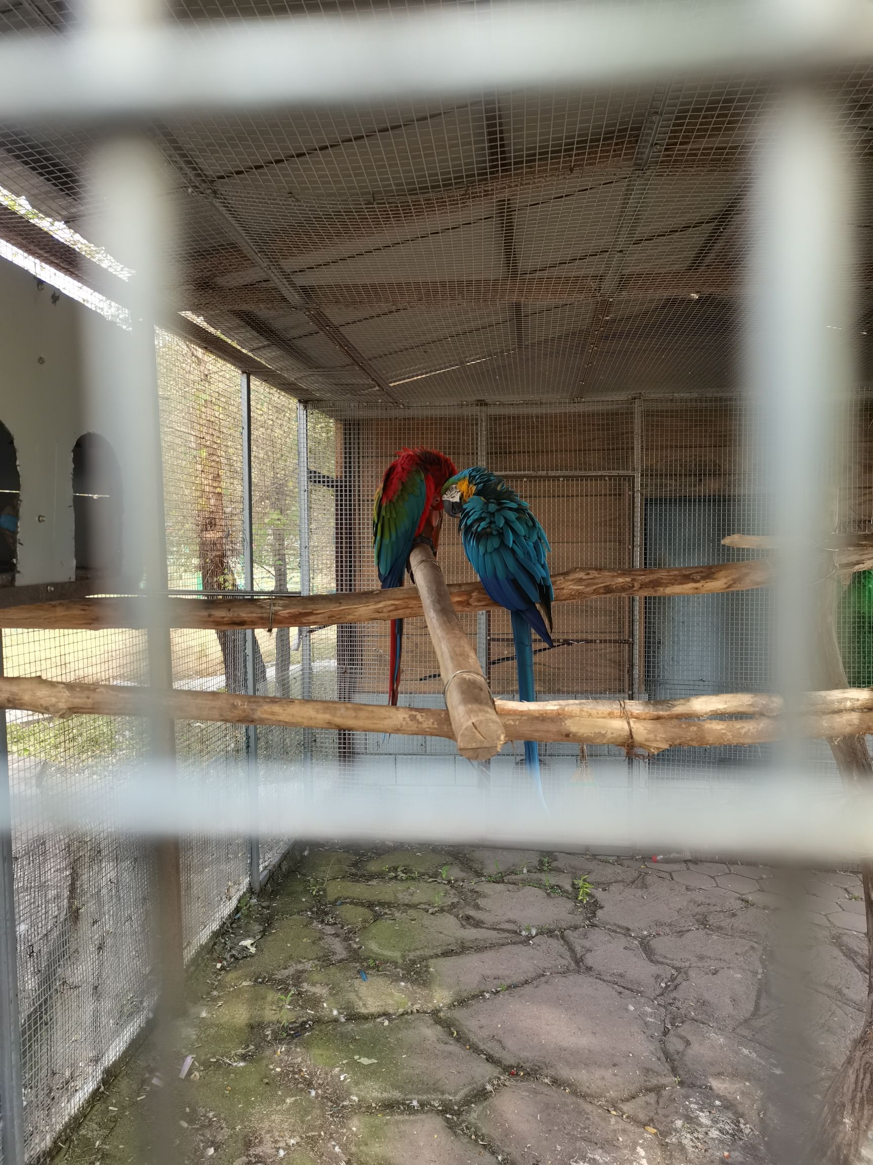 鸡西动植物园旅行图片 2