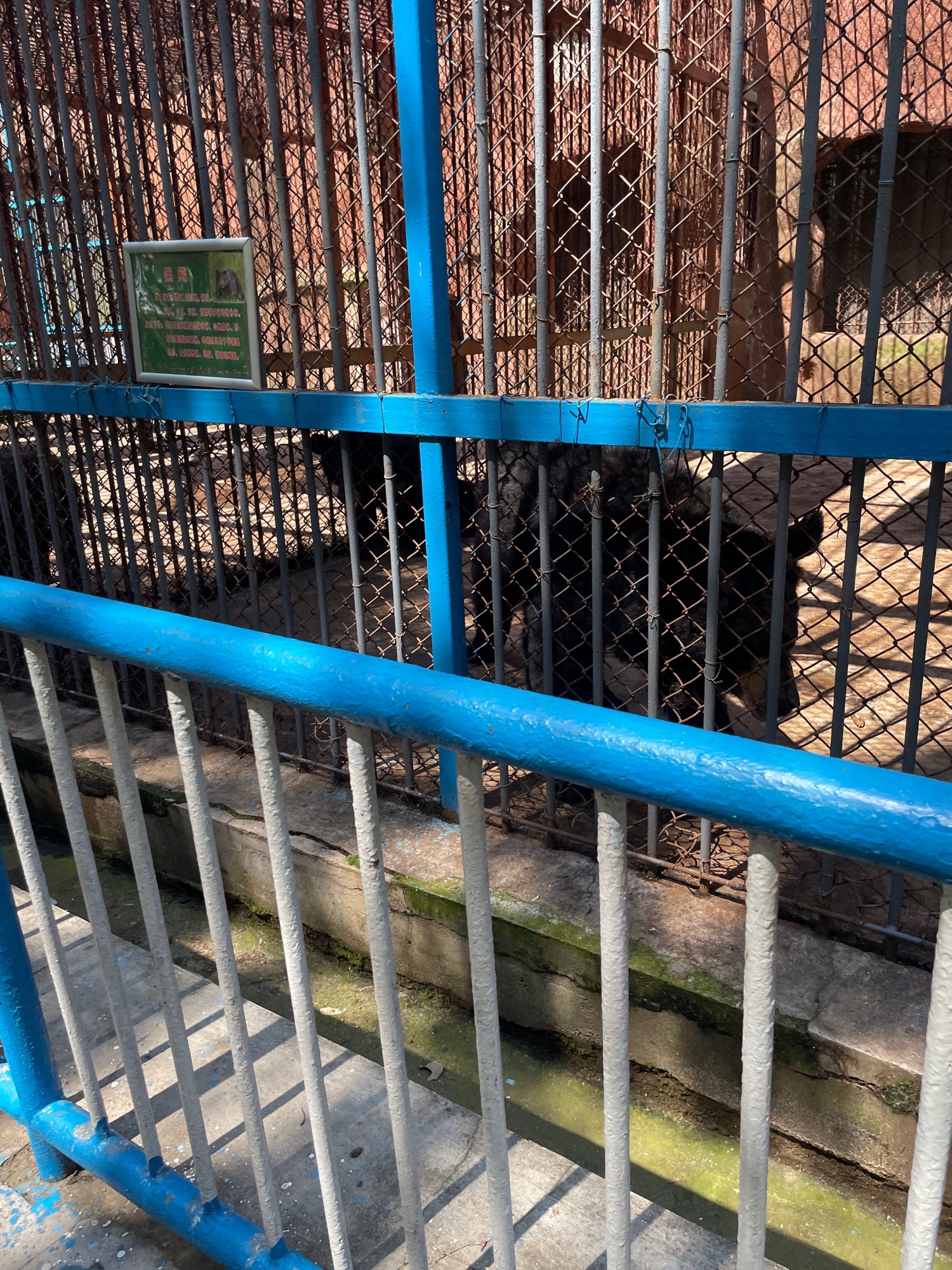 鸡西动植物园旅行图片 2