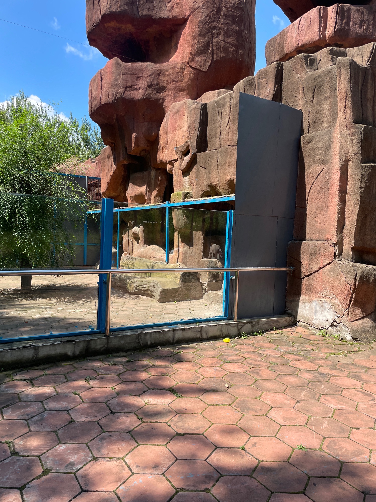 鸡西动植物园旅行图片 3