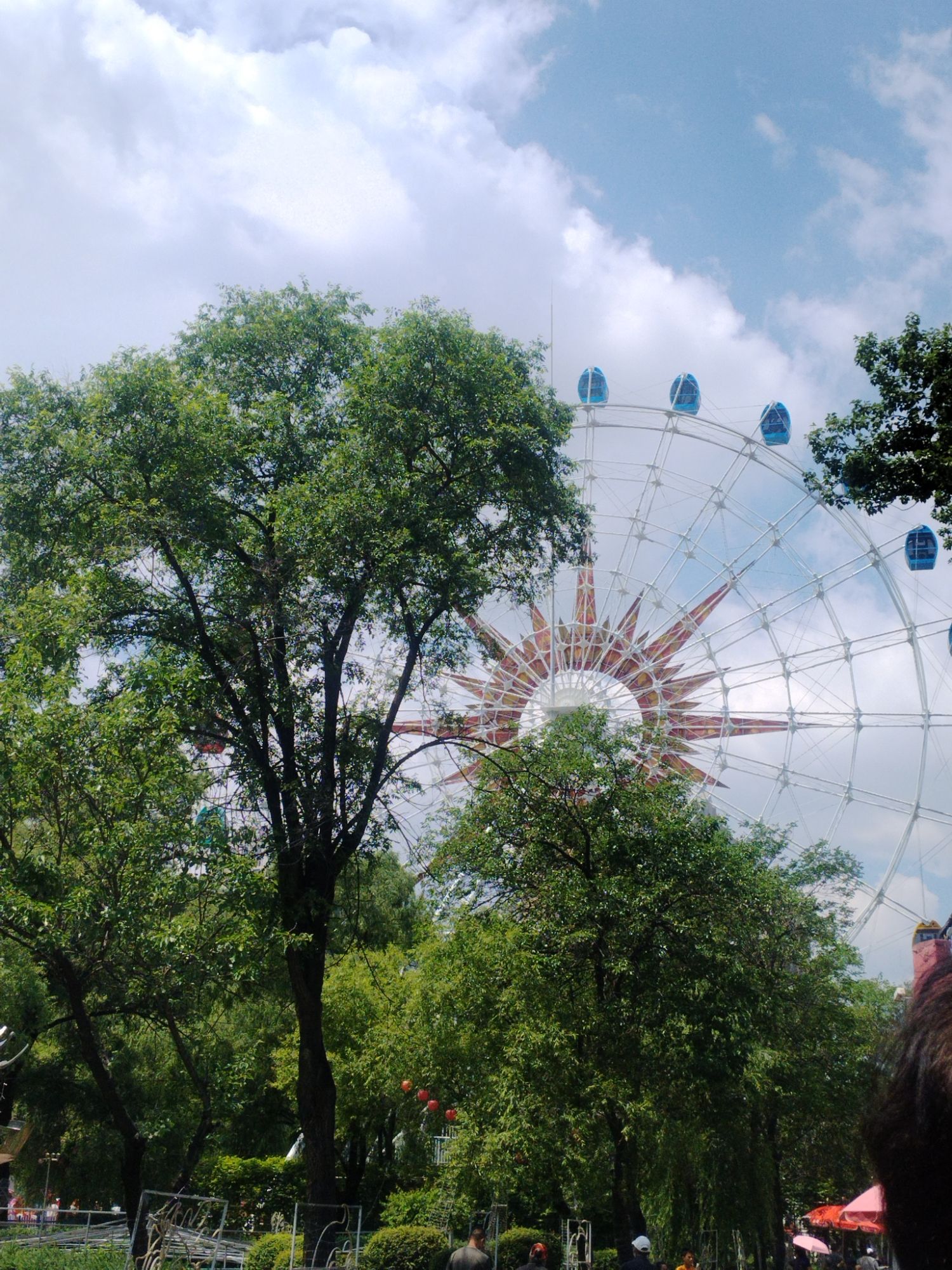 鸡西市儿童公园旅行图片 1