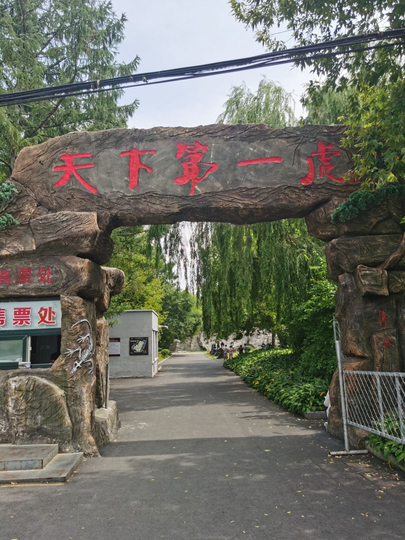 天下第一虎