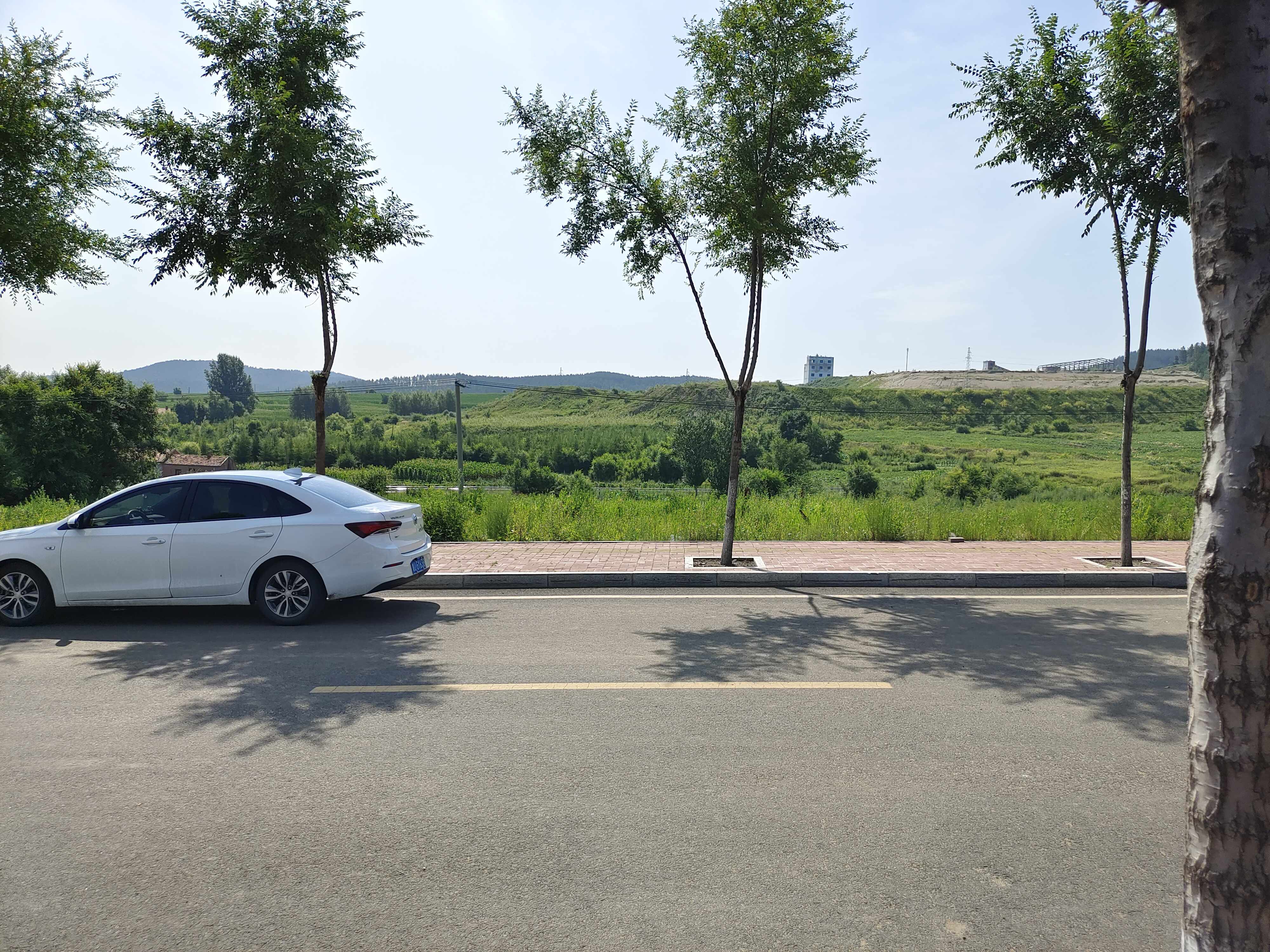 南山公园旅行图片 1