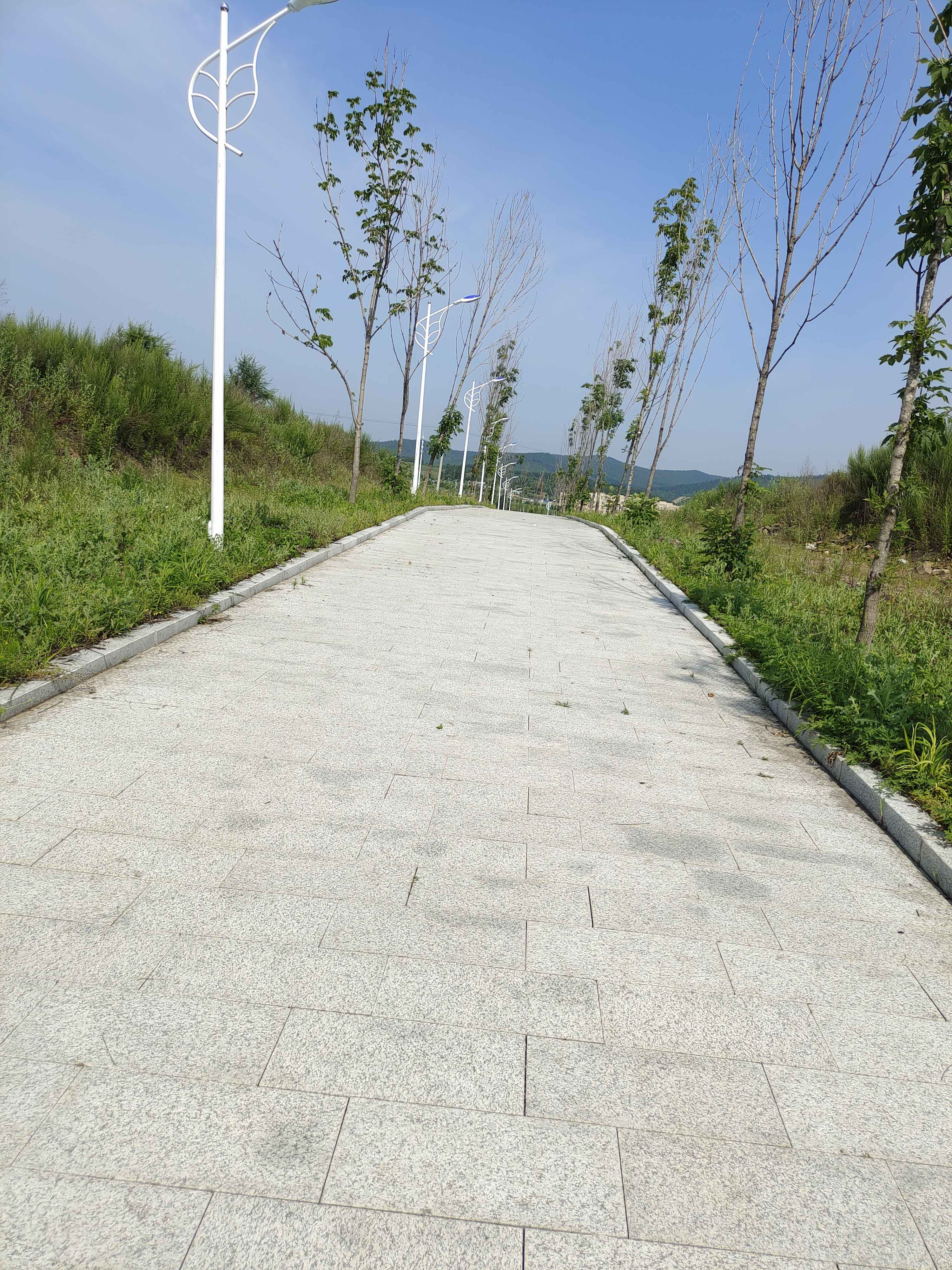 南山公园旅行图片 2