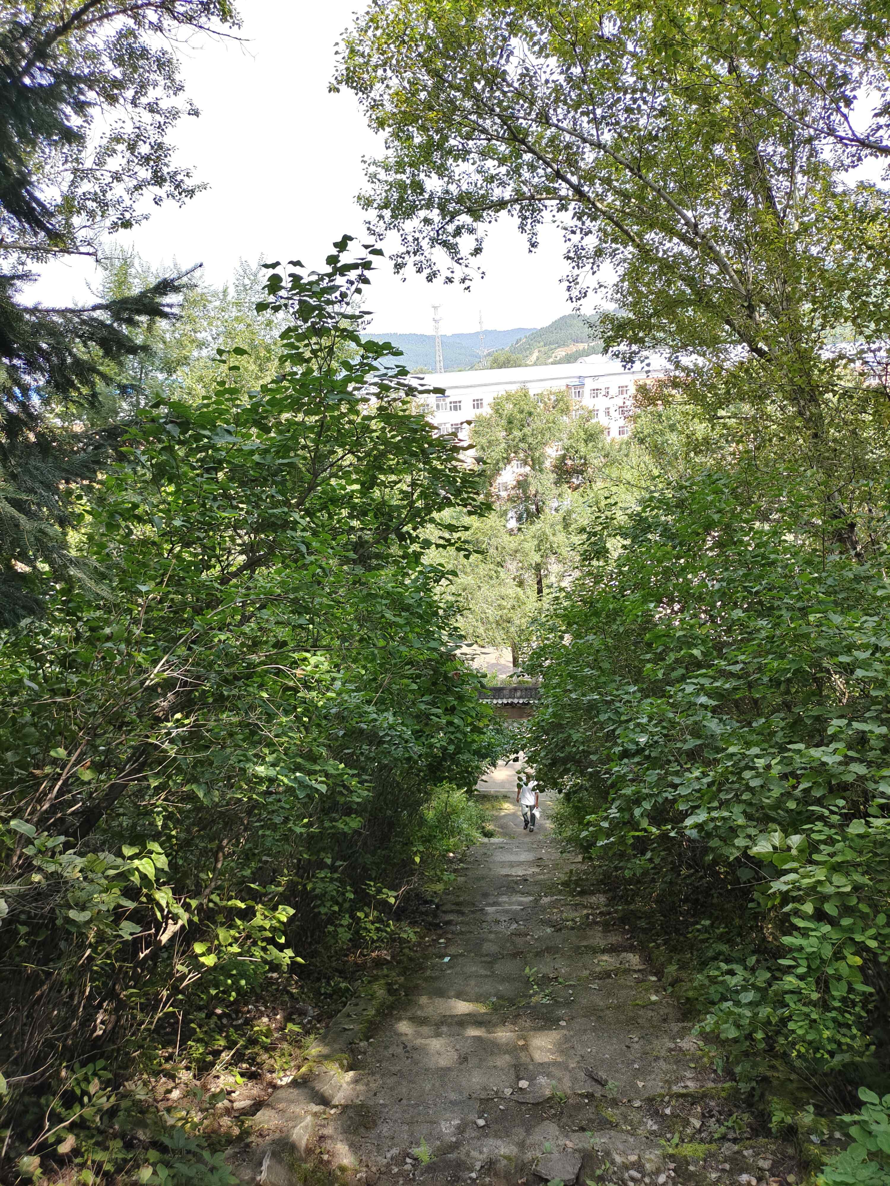 南山公园旅行图片 3
