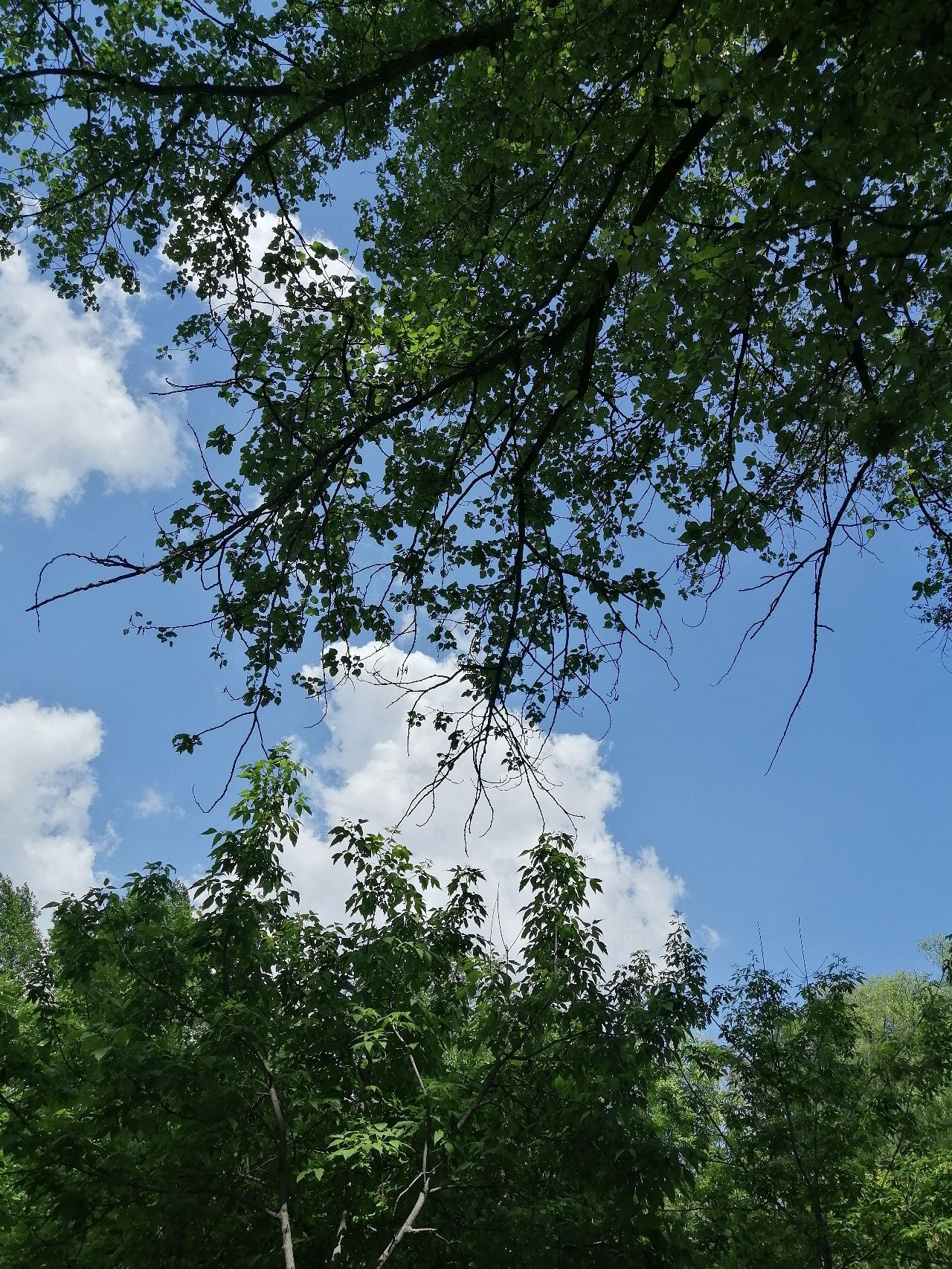 河滨公园旅行图片 3