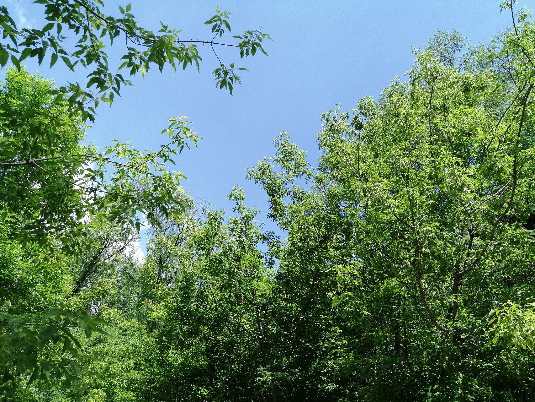 河滨公园旅行图片 2