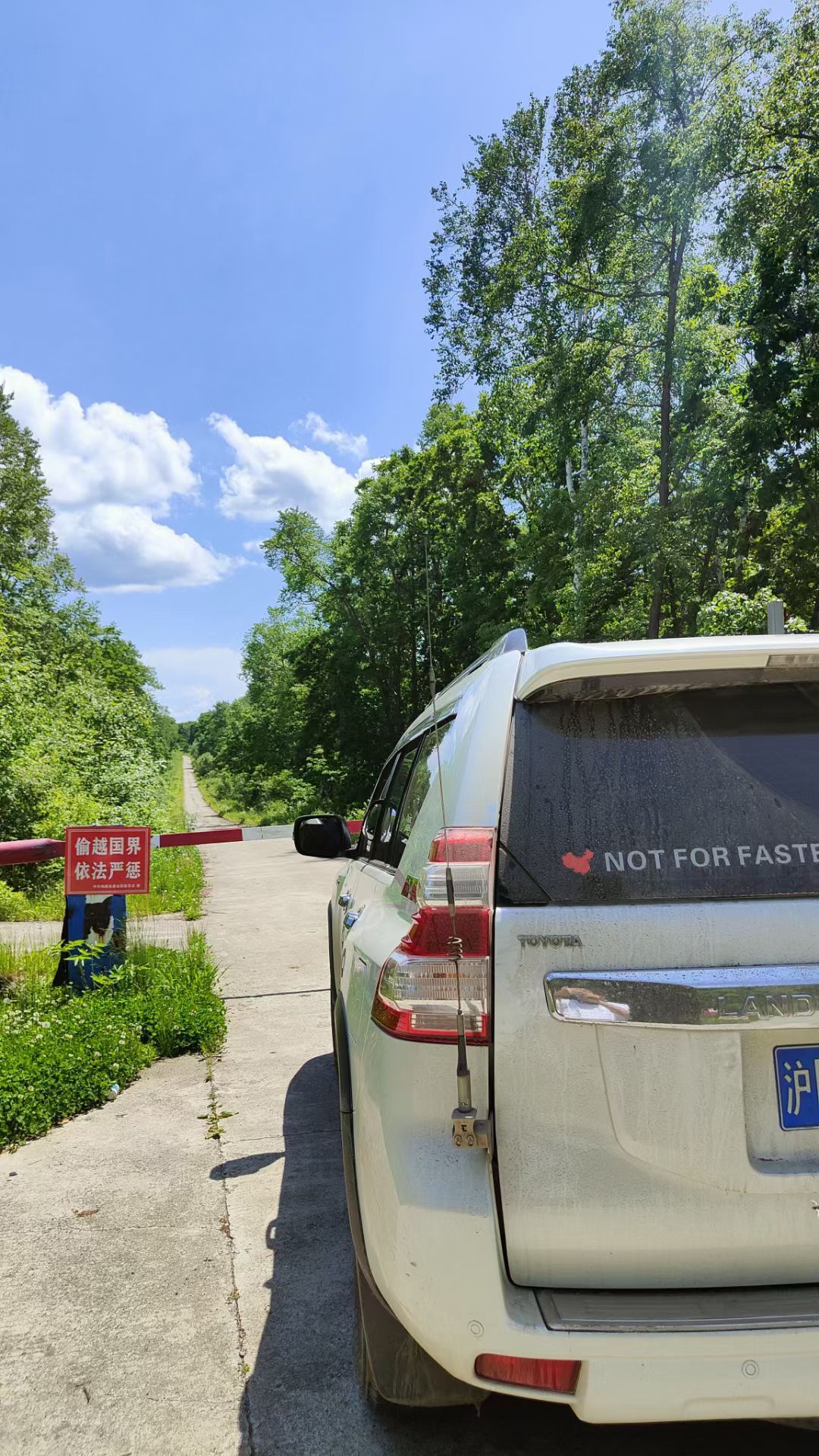 东方红湿地国家级自然保护区旅行图片 1