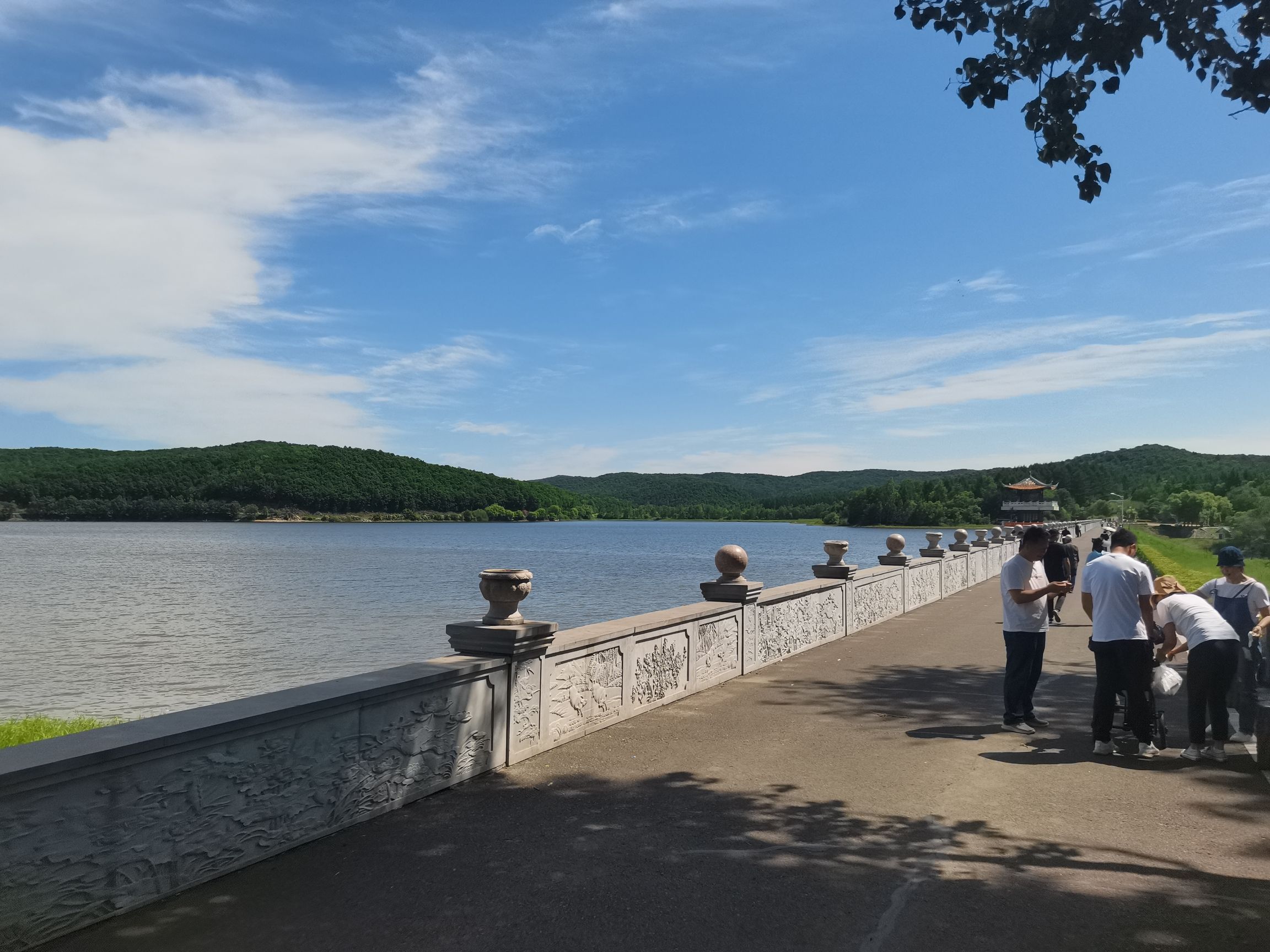 松鹤西湖公园旅行图片 3
