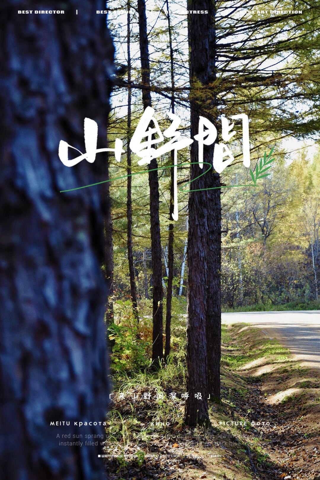 松鹤西湖公园旅行图片 1