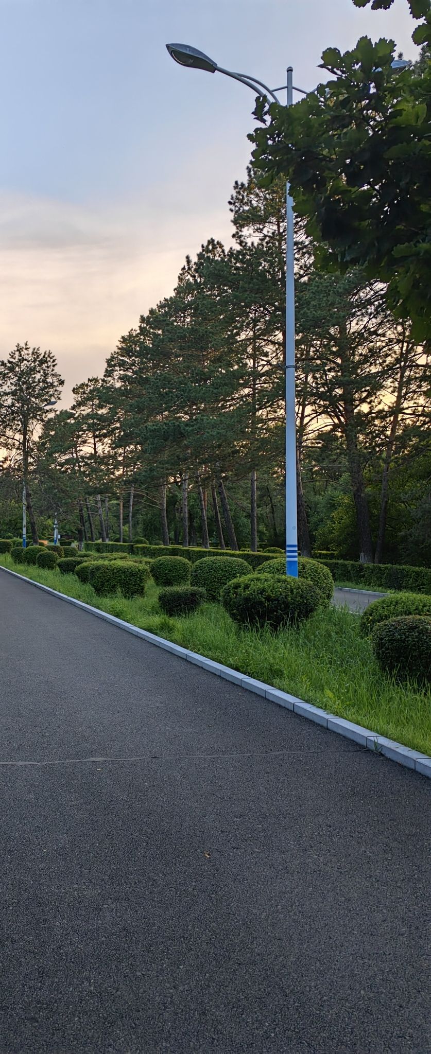 松鹤西湖公园旅行图片 2