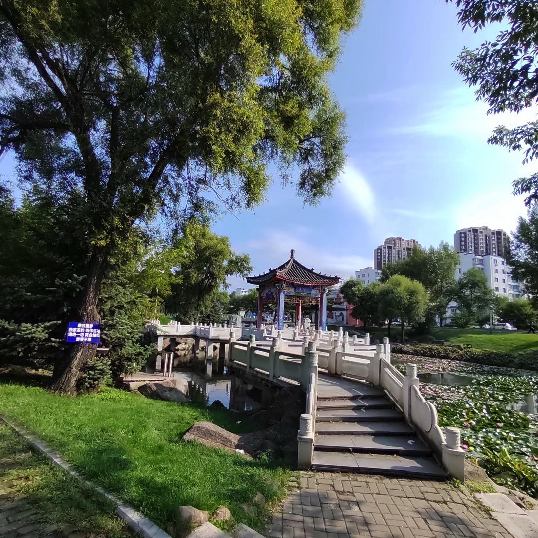 天水湖公园旅行图片 3