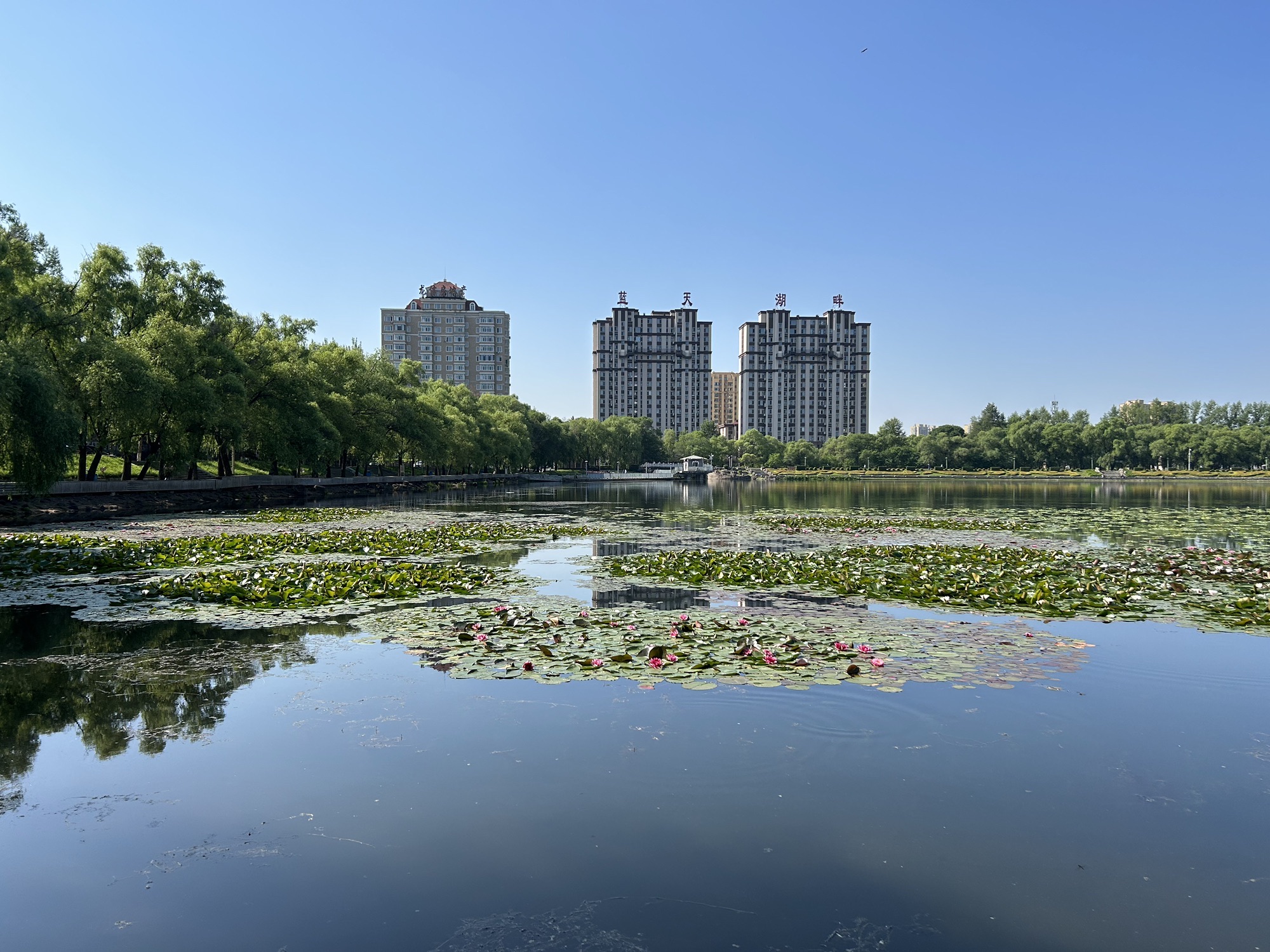 天水湖公园