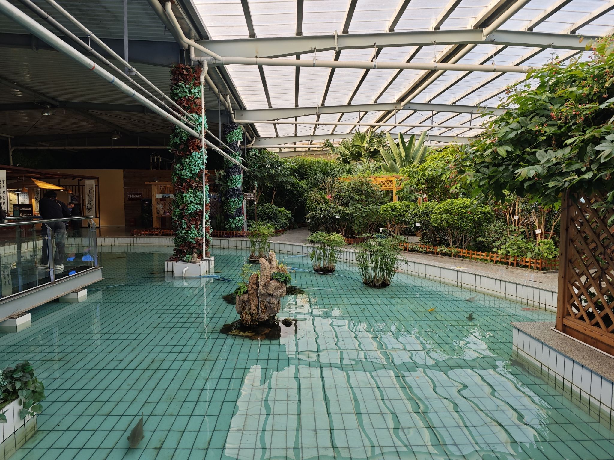 宝泉岭植物园