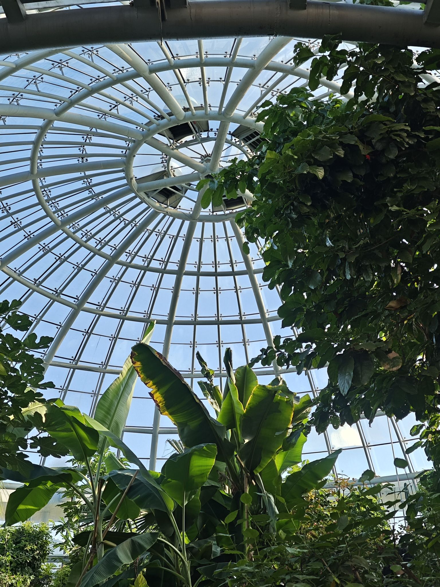 宝泉岭植物园旅行图片 2