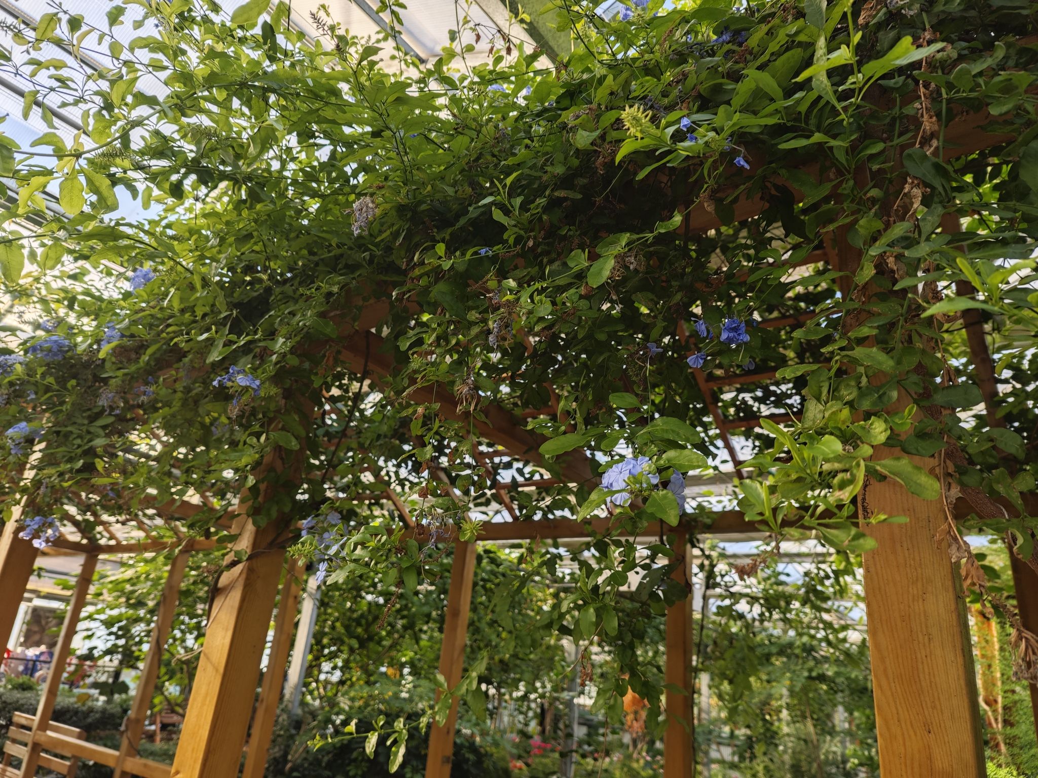 宝泉岭植物园旅行图片 1