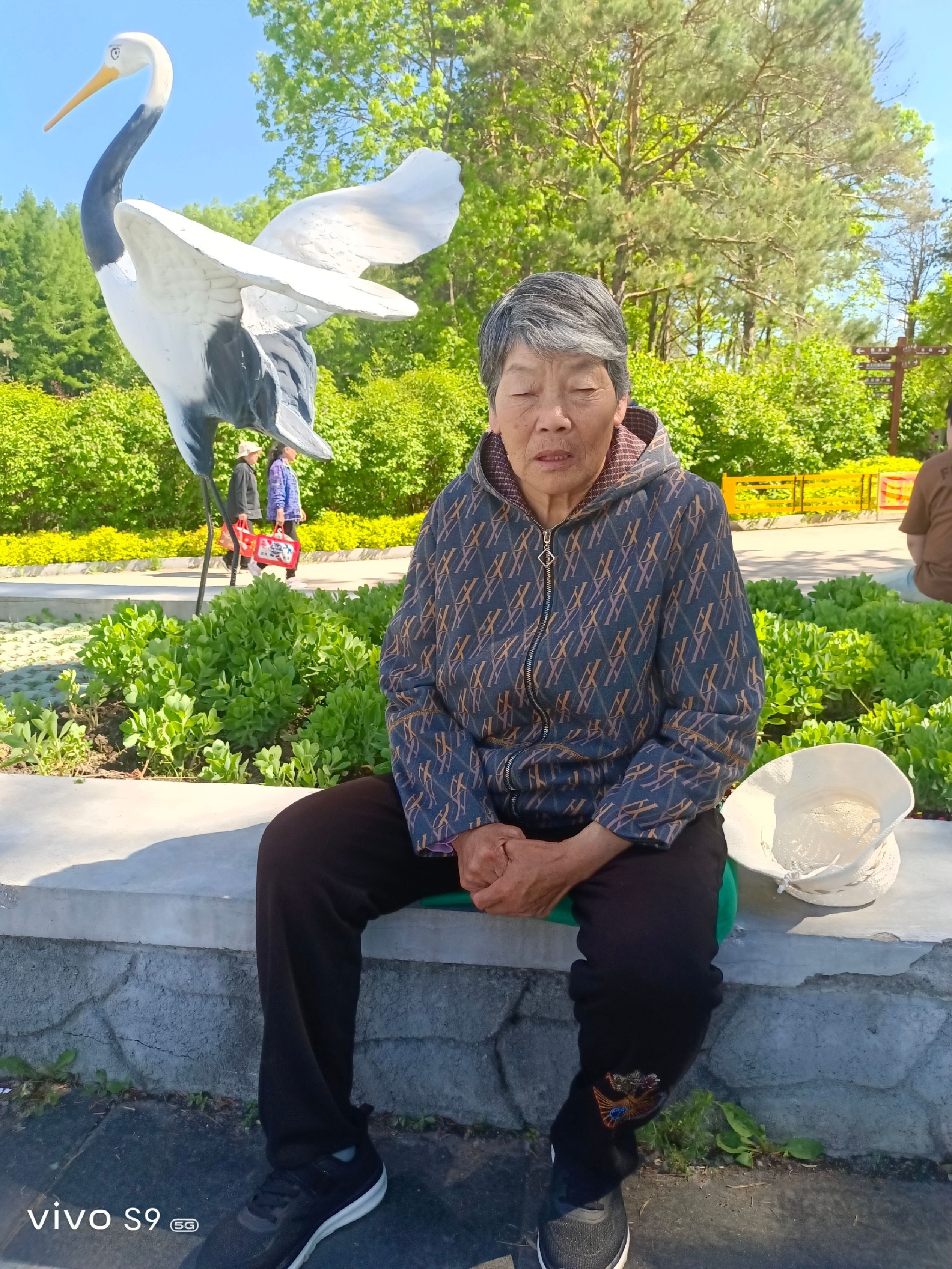 宝泉岭植物园旅行图片 3