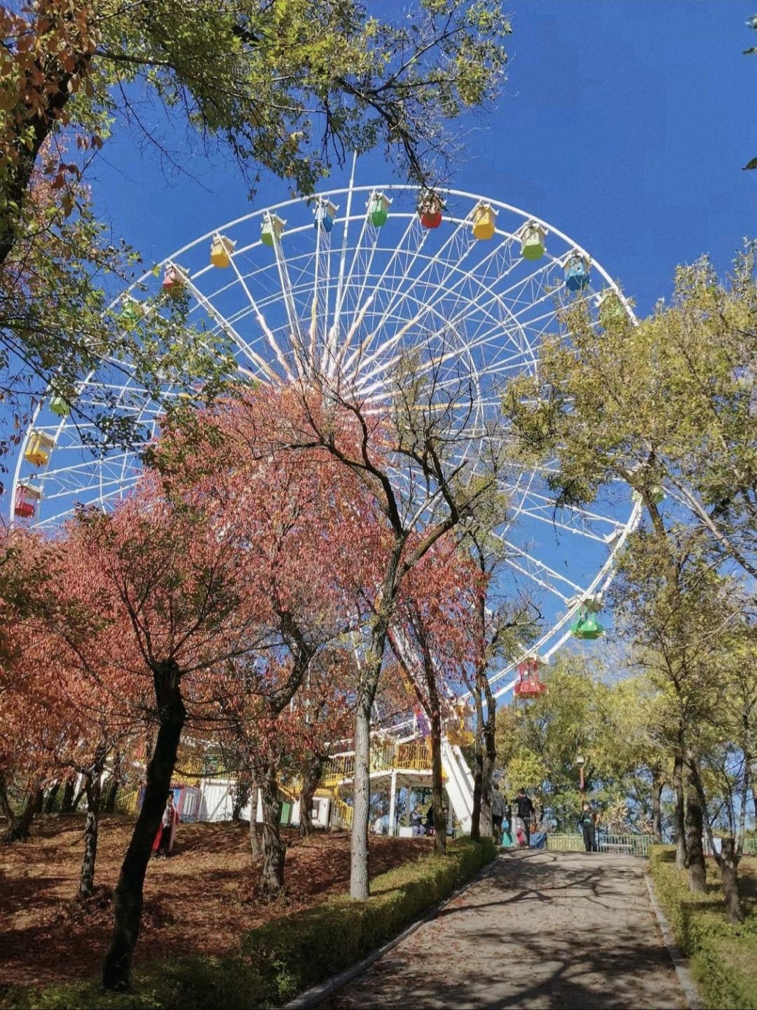 鹤岗市儿童公园