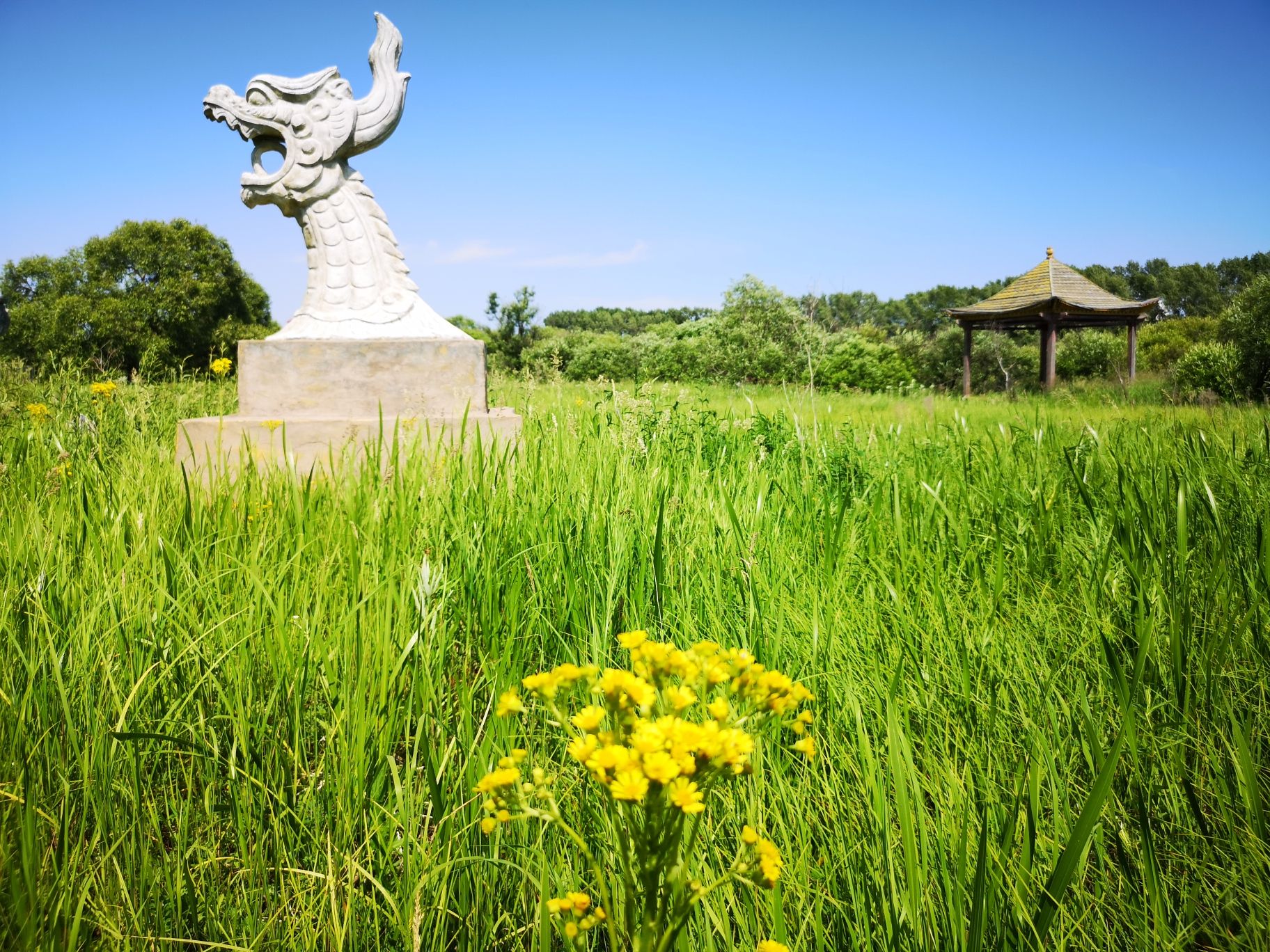 月牙湖国家湿地公园