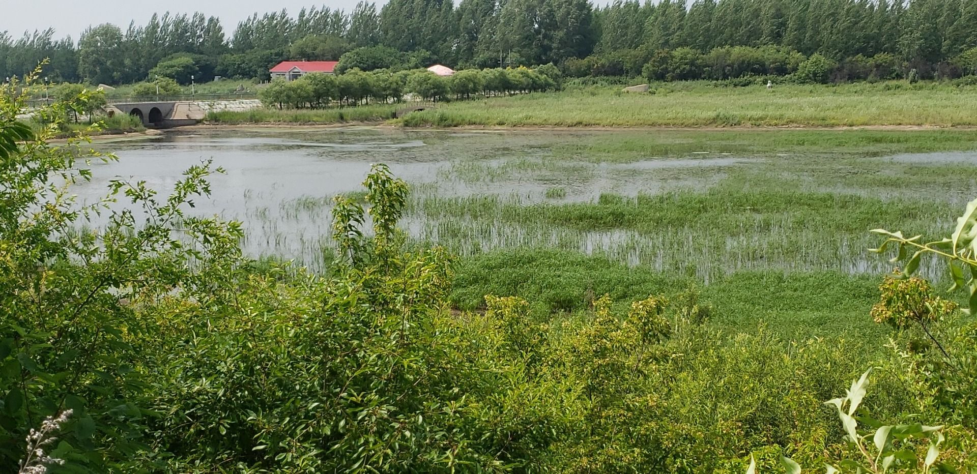 月牙湖国家湿地公园(暂停开放)旅行图片 1