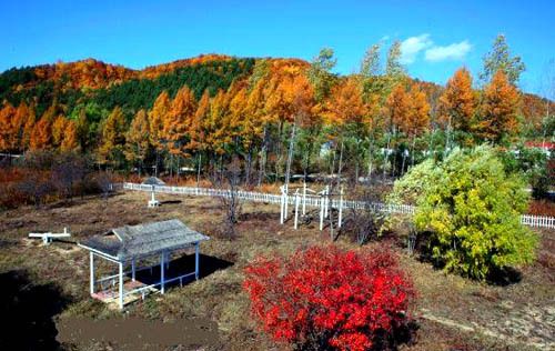 鹤岗国家级森林公园旅行图片 1